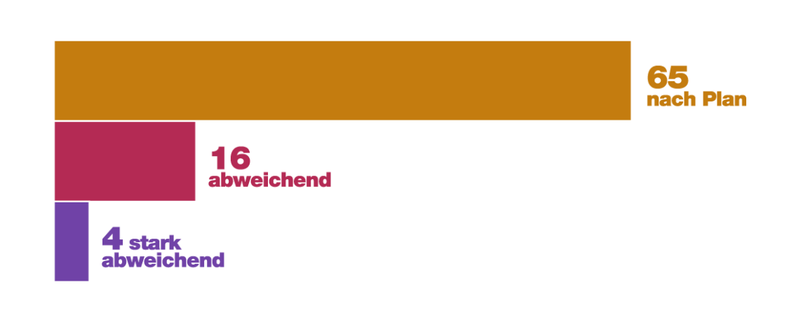 Balkendiagramm, das den Umsetzungsstand der getroffenen Massnahmen im Bereich Klimaschutz aufzeigt.