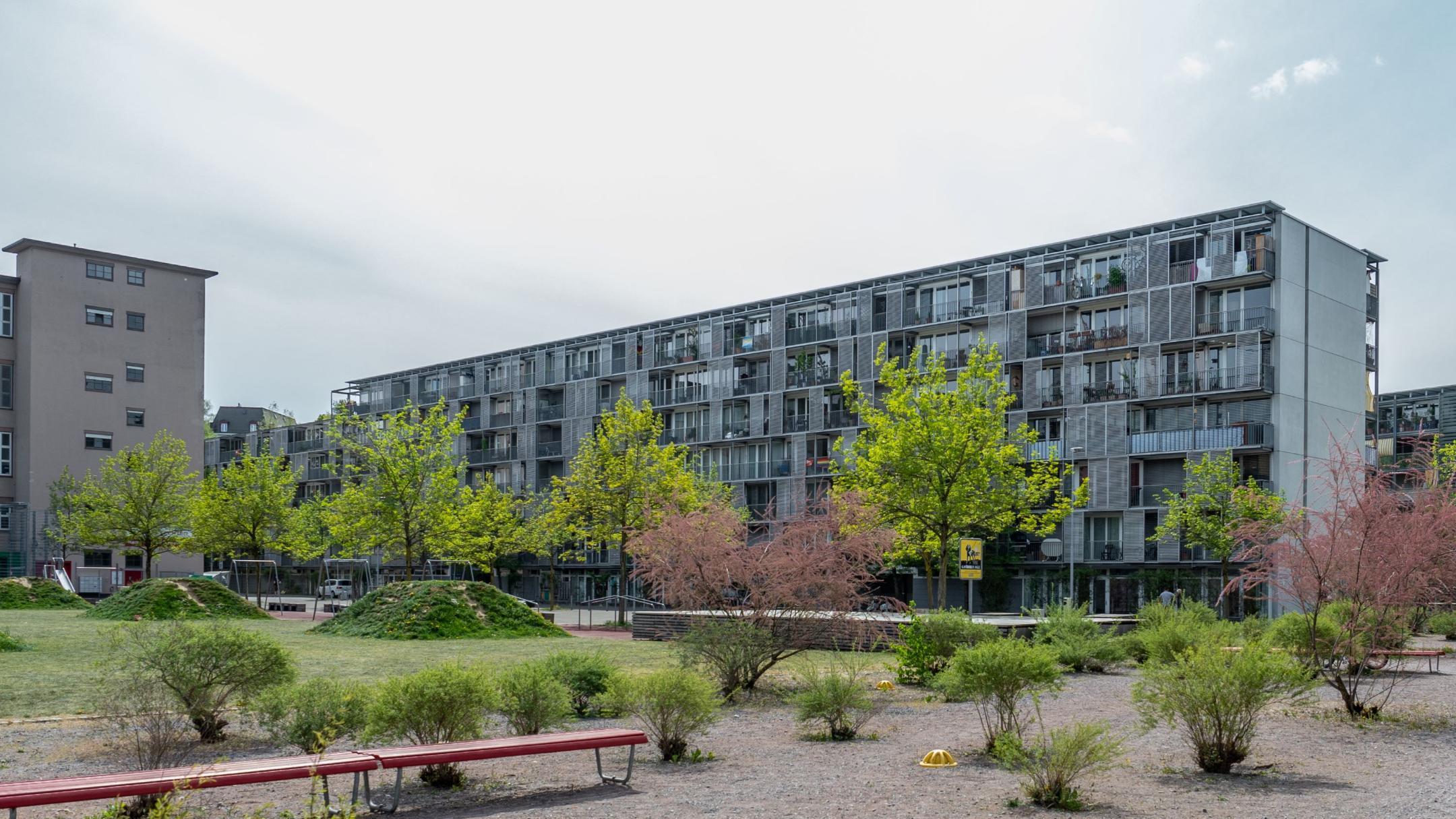 Der Louis-Häfliger-Park in Zürich. Entsiegelte Flächen bestehend aus Kies, Sträuchern, Wiesen und Bäumen sowie Sitzgelegenheiten. Im Hintergrund Wohngebäude.