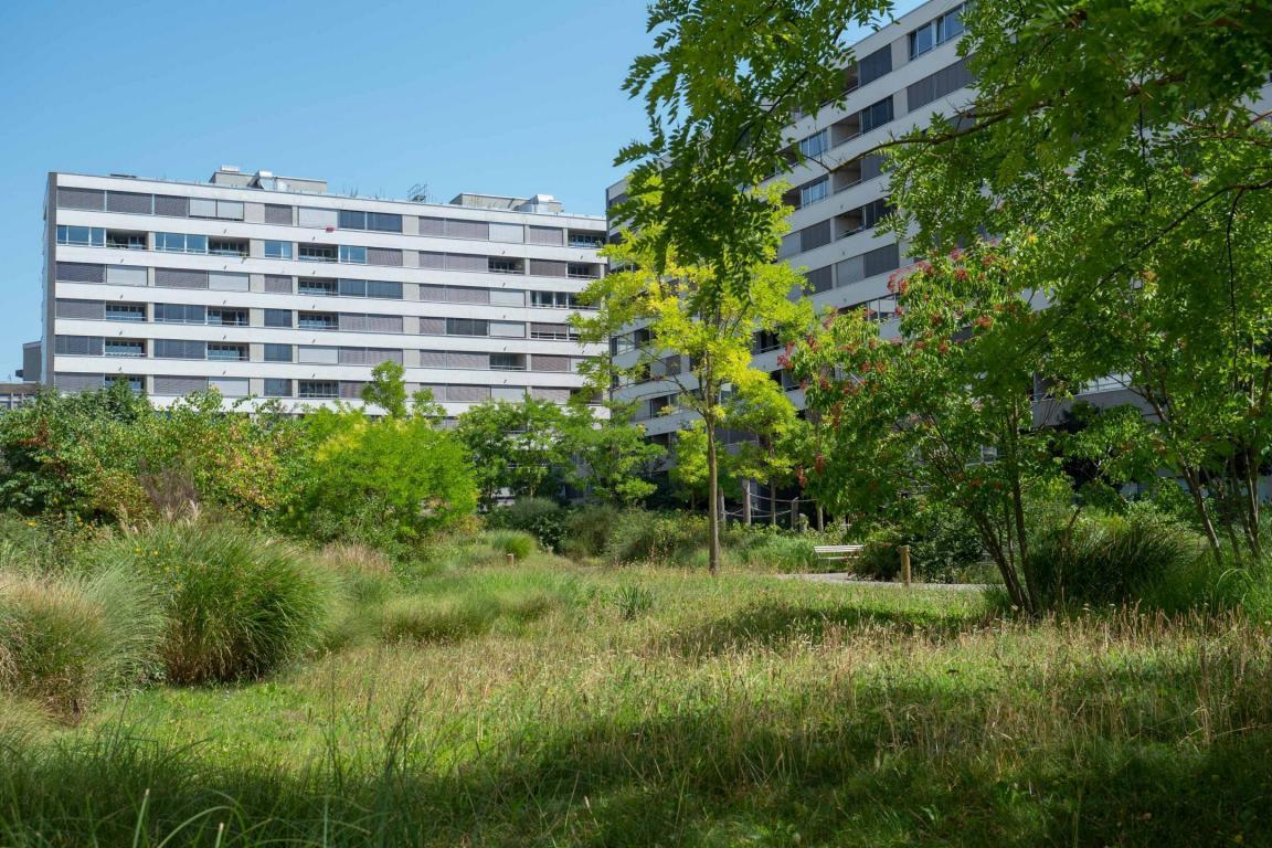 Grünflächen rund um die Wohnüberbauung Maaghof in Zürich.