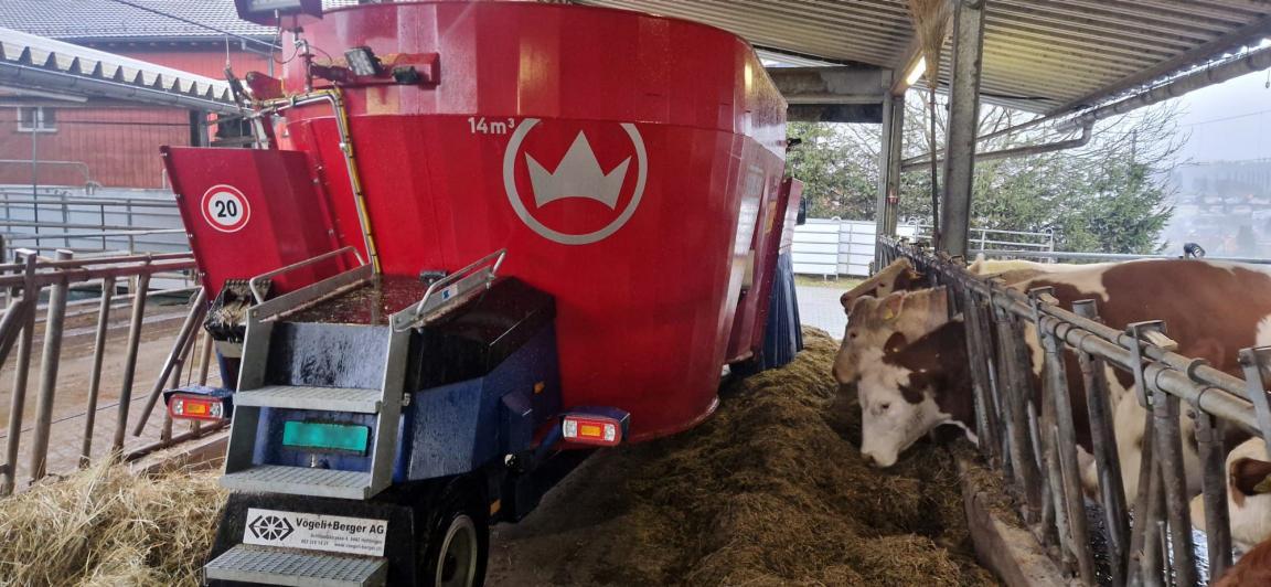 Ein elektrischer Futtermischwagen auf einem Bauernhof. Mehrere Kühe fressen das vom Wagen bereitgestellte Futter.