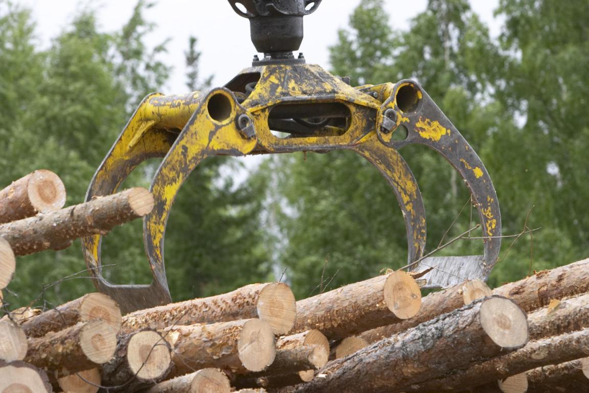 Baggergreifzange, die Holzstämme von einem aufgestapelten Holzvorrat greift.