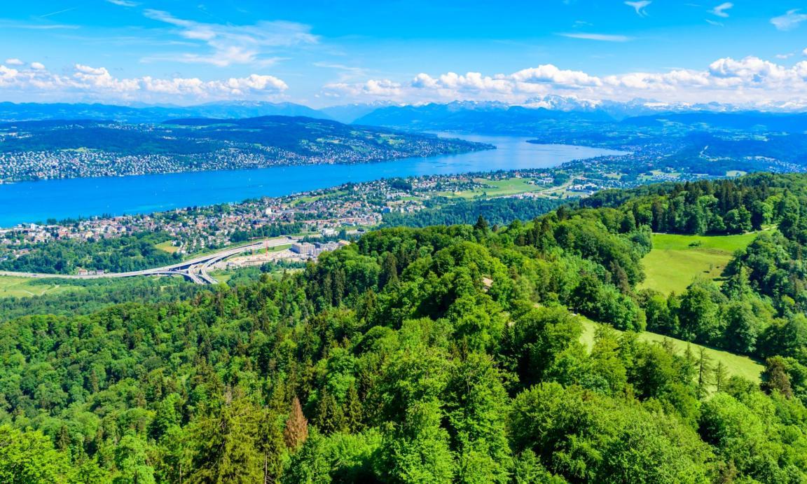 Blick vom Uetliberg auf den Zürichsee mit Panorama und weitläufigen Waldflächen.