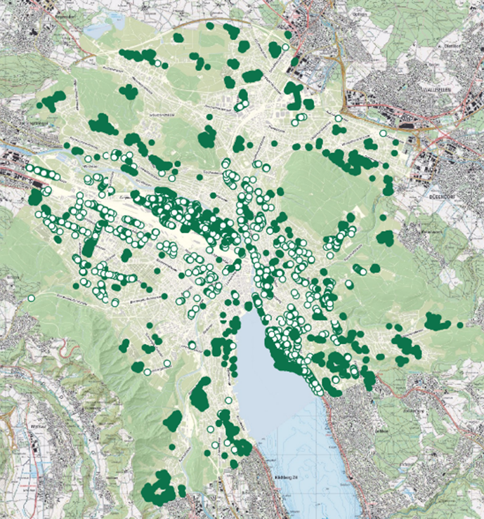 Screenshot des Baumkatasters der Stadt Zürich