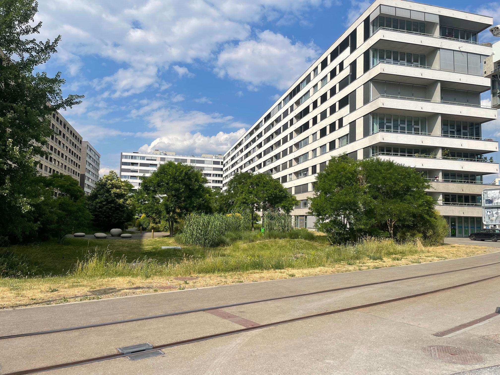 Beispiel einer Siedlung mit, trotz Unterbauung, grossem begrünten Innenhof. Ermöglicht wird dies durch eine ausreichende Substratdicke, die das Wachstum von kleinen bis mittelhohen Bäumen zulässt.