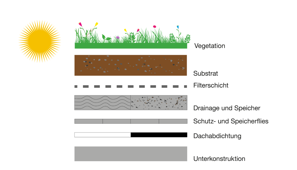 graphische Darstellung des Aufbaus eines begrünten Dachs