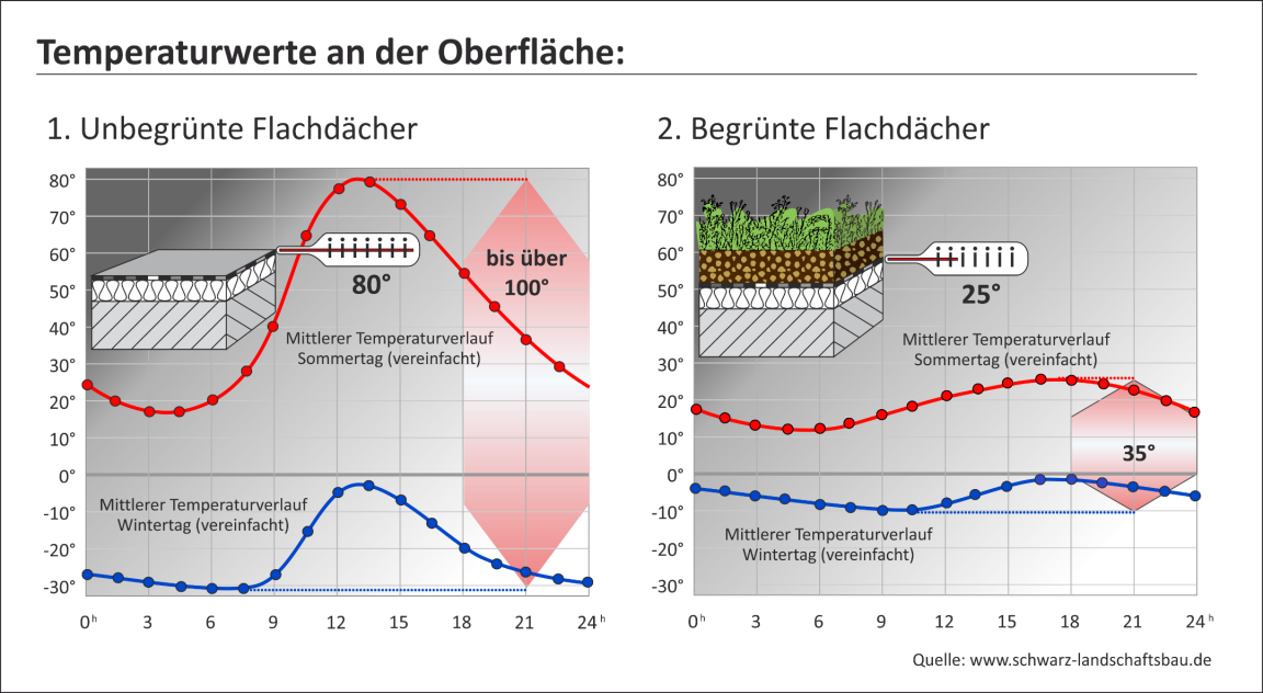 Grafik mit Temperaturunterschieden begrünte vs. unbegrünte Flachdächer