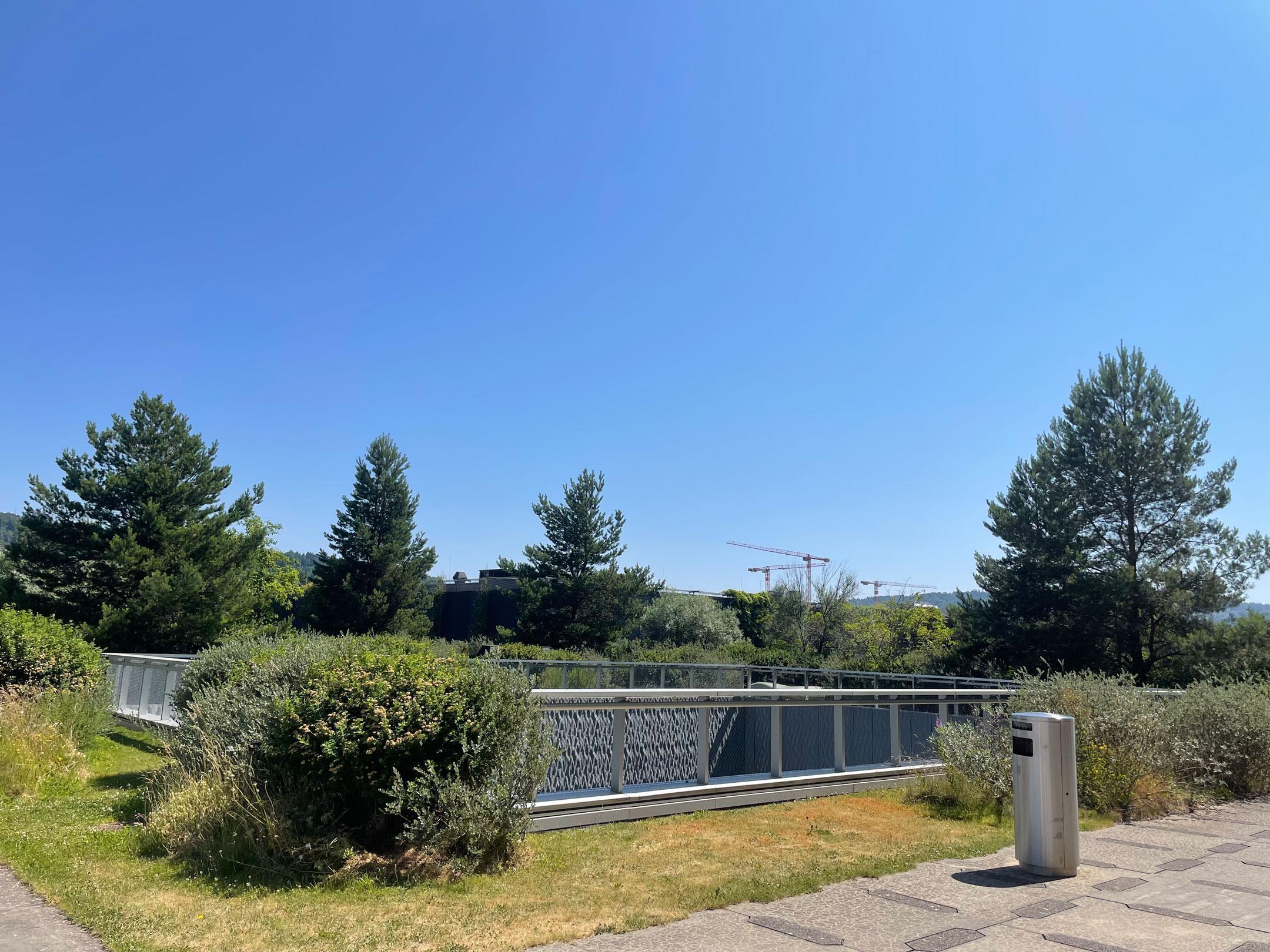 Dachterrasse mit verholzenden Pflanzen