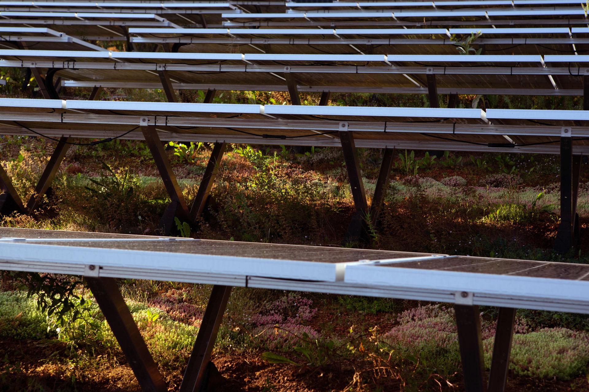 Solarpanels auf Dach