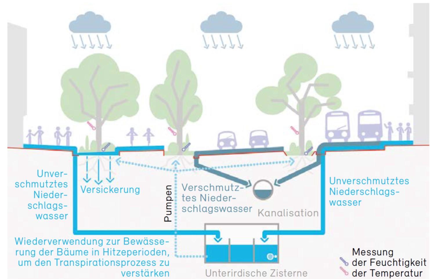 Bewässerung Rue Garibaldi, Lyon