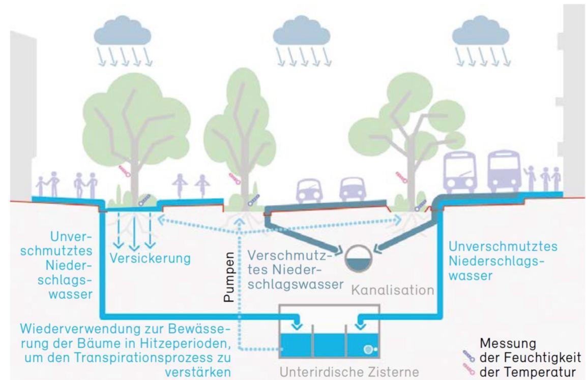 Bewässerung Rue Garibaldi, Lyon