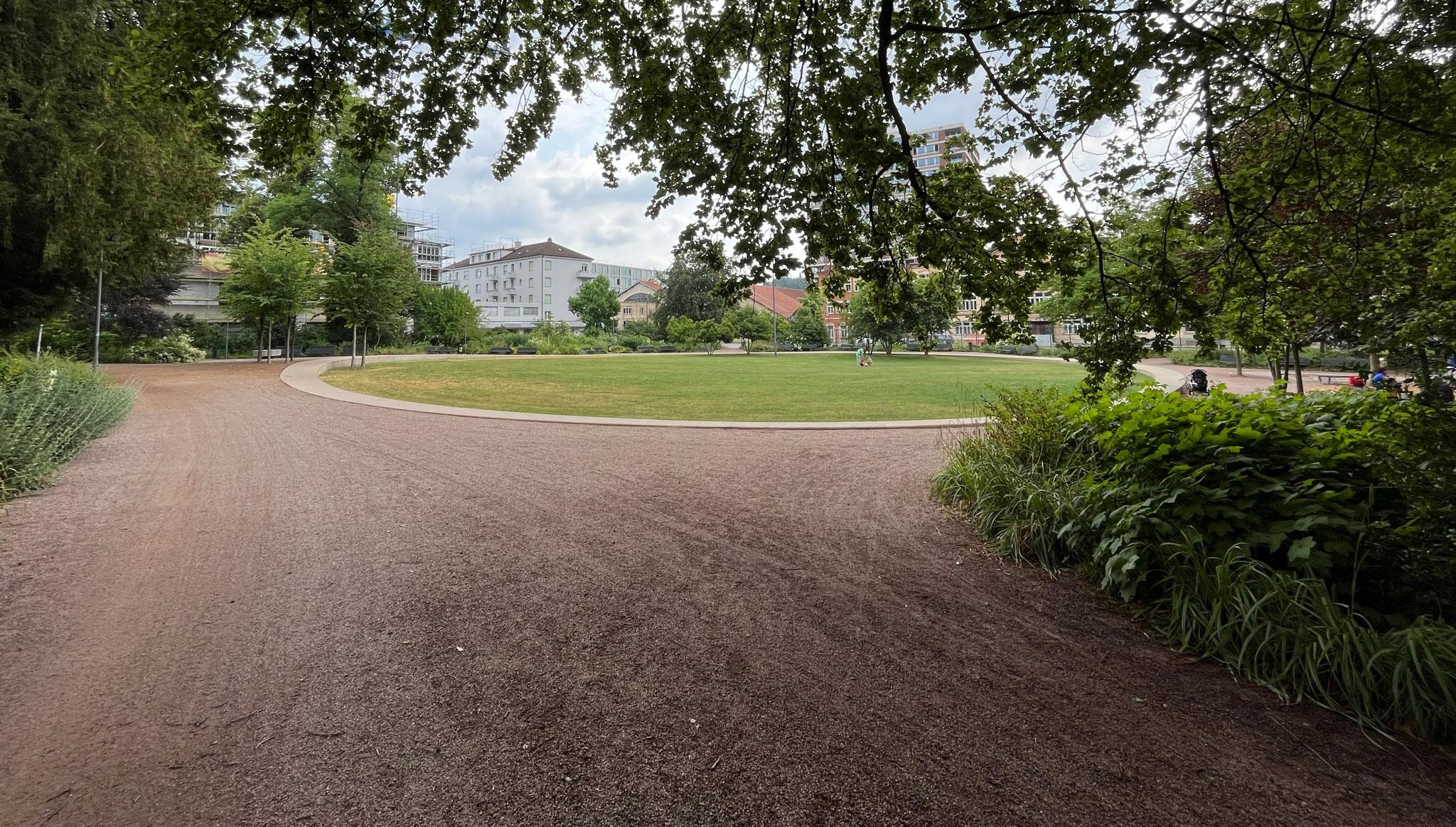 Brühlgutpark in Winterthur, welcher aus einer Rasenfläche von grösser 1 ha und umgebenen Bäumen besteht. Dadurch werden unterschiedliche Verweilorte mit und ohne Schatten geschaffen.
