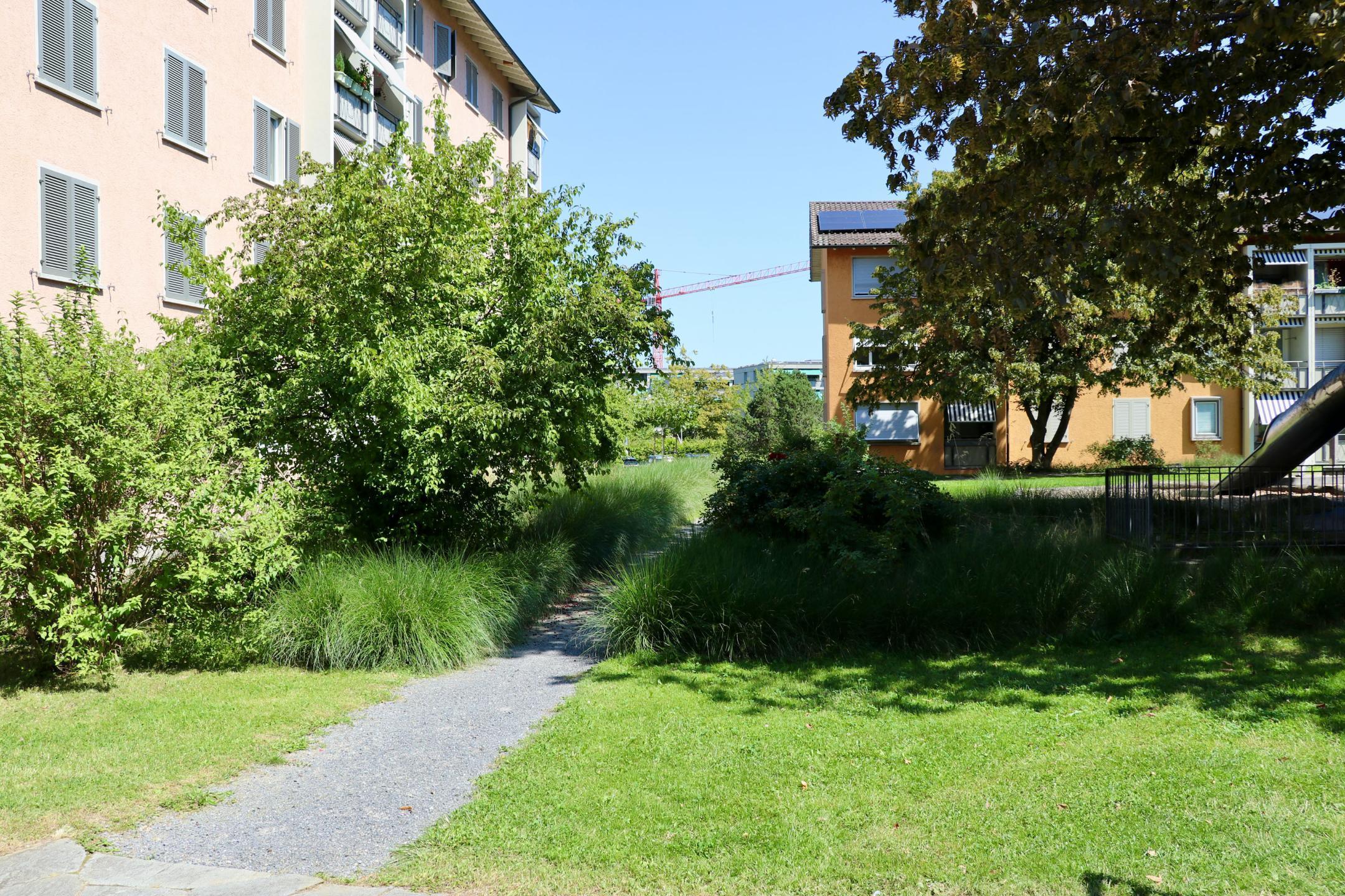 Der Innenhof der Siedlung bei der Else-Züblin-Strasse in Zürich besteht aus einer Grünfläche, bei welcher Kieswege vorhanden sind.