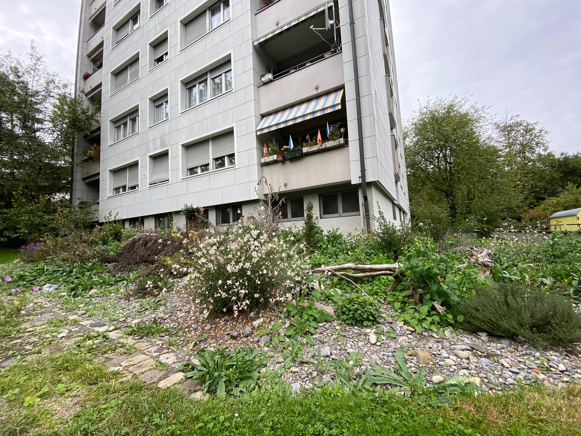 Vielseitiger naturnah gestalteter Vorbereich eines Gebäudes in Arbental Zürich.