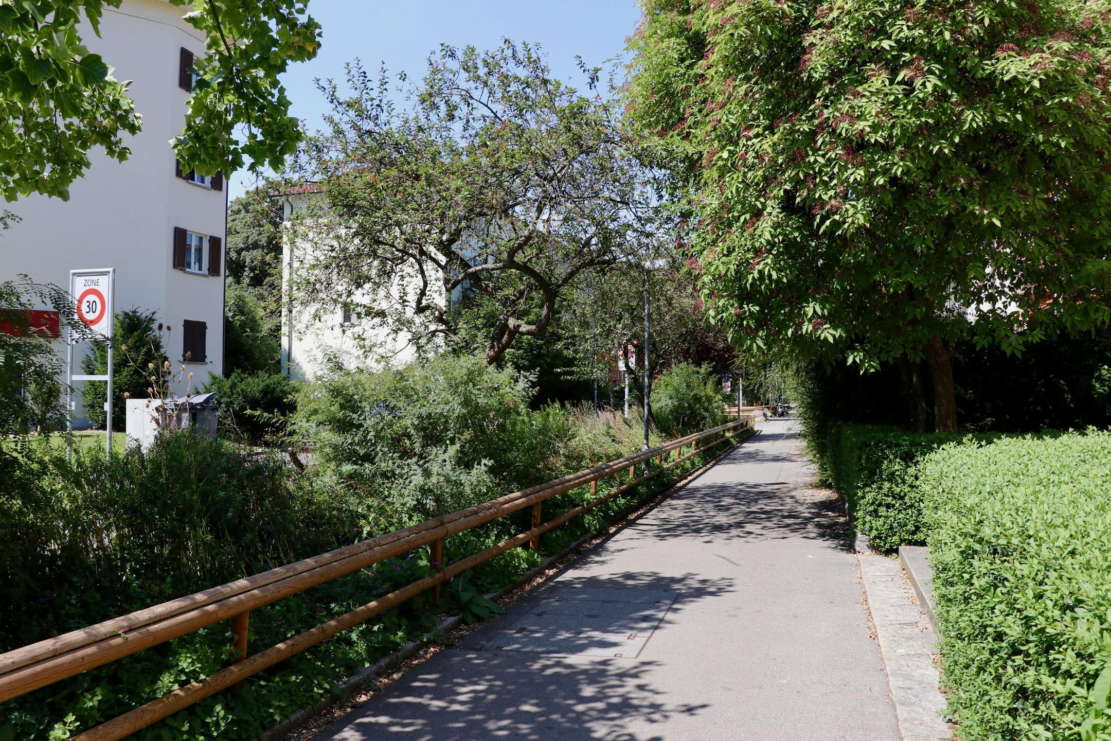 Vielfältig, naturnah gestalteter Strassenrand and der Brahmstrasse mit Bäumen, Sträuchern, Stauden und Gräsern, welcher der Vernetzung von Grünflächen dient.