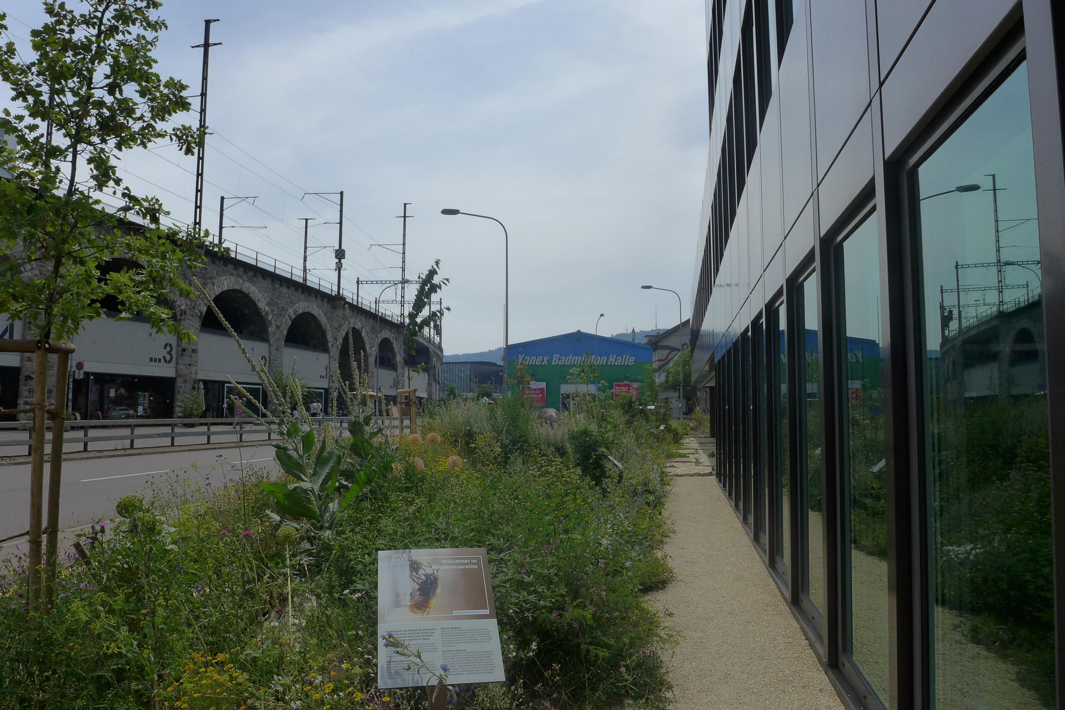 Naturnah gestalteter Rand der Geroldstrasse in Zürich.