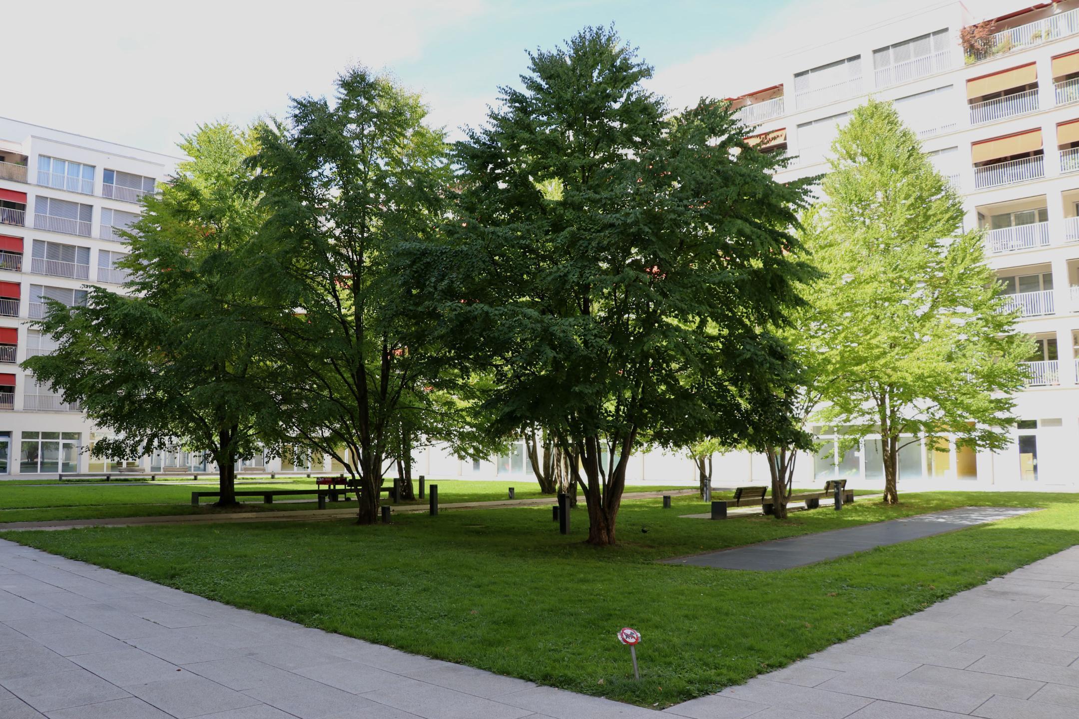 Der Innenhof einer Siedlung an der Heinrichstrasse in Zürich wird durch die umliegenden Gebäude und den vorhandenen Baumbestand beschattet. Dadurch entsteht ein attraktiver Aufenthaltsort.
