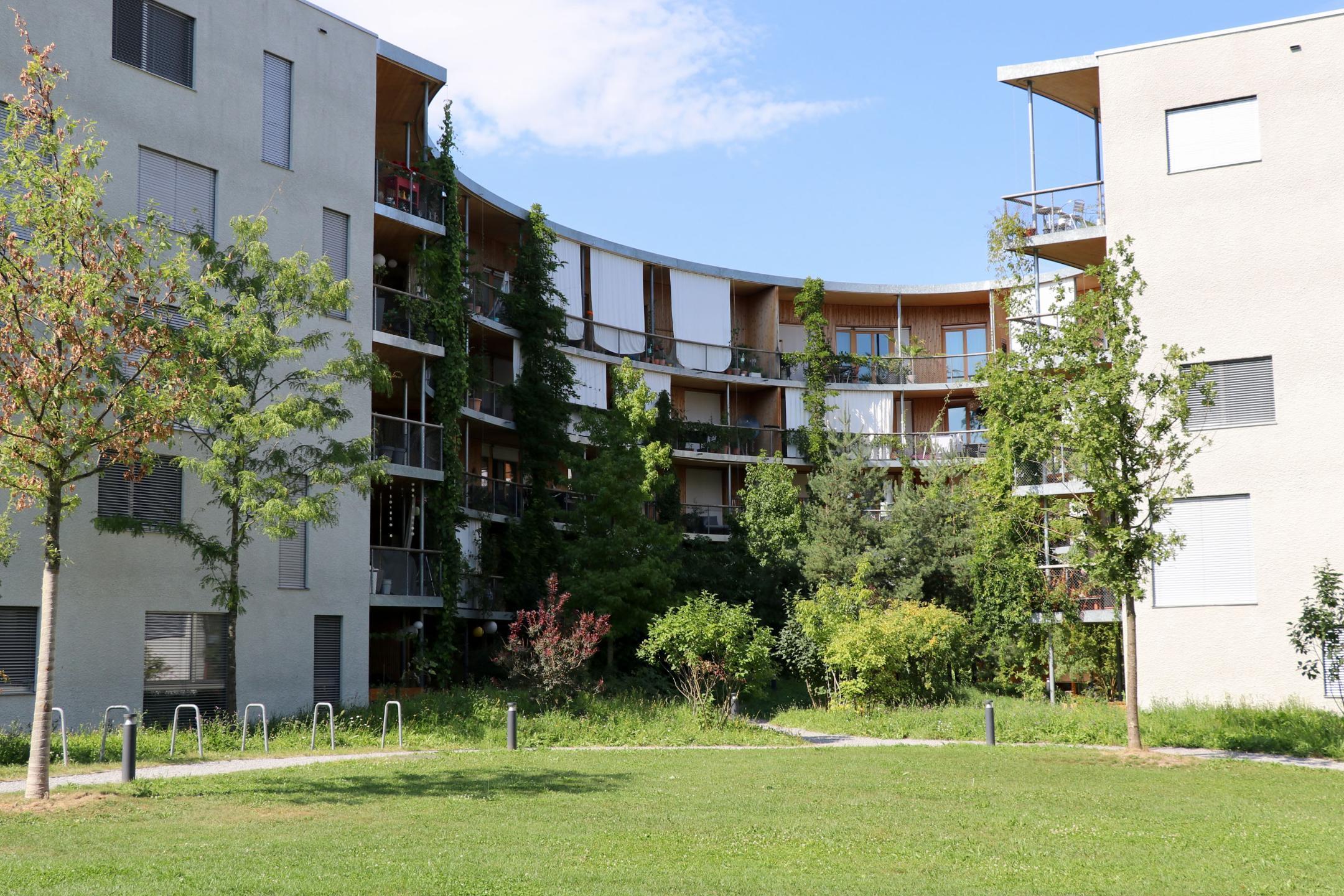 Naturnah gestalteter Innenhof in der Holunderhof Siedlung in Zürich mit Bäumen, Sträuchern, Stauden und Gräsern.