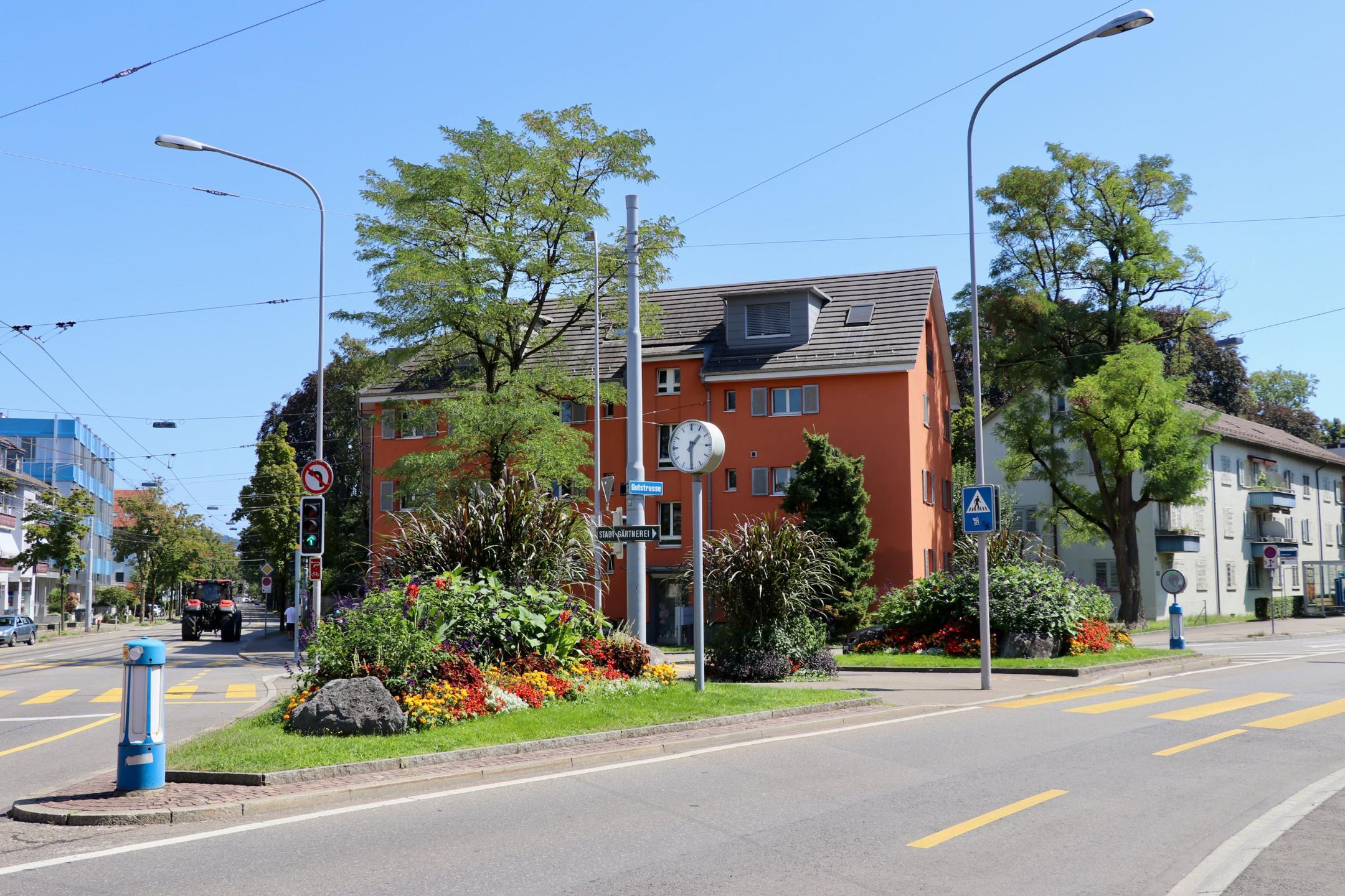 Kleine Grünfläche auf einer Strasseninsel bei der Tramhaltestellle Hubertus, welche von Stauden geprägt ist.
