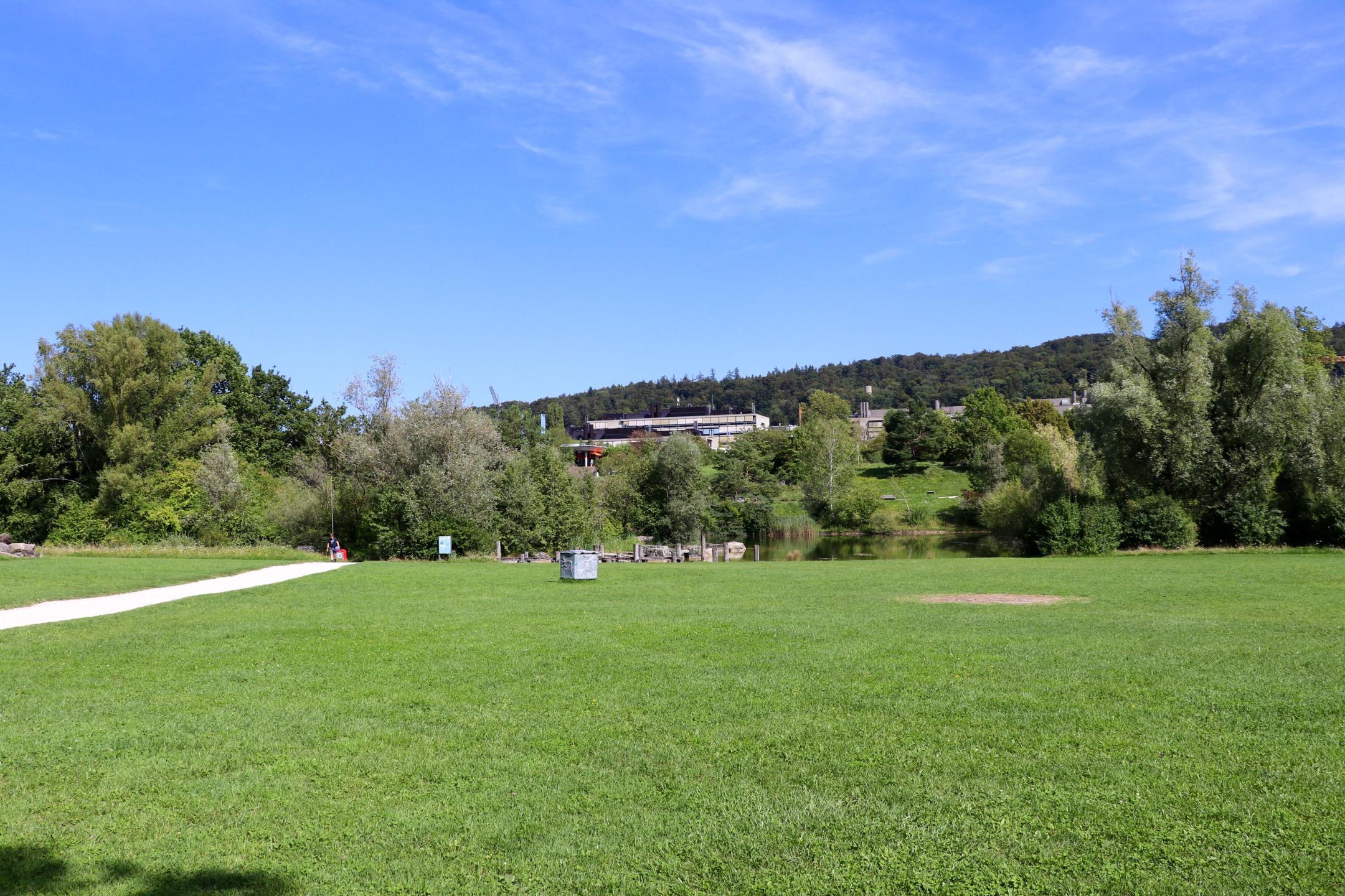 Vielfältig gestalteter Irchelpark mit grossen Rasenflächen, Bäumen und einem See.
