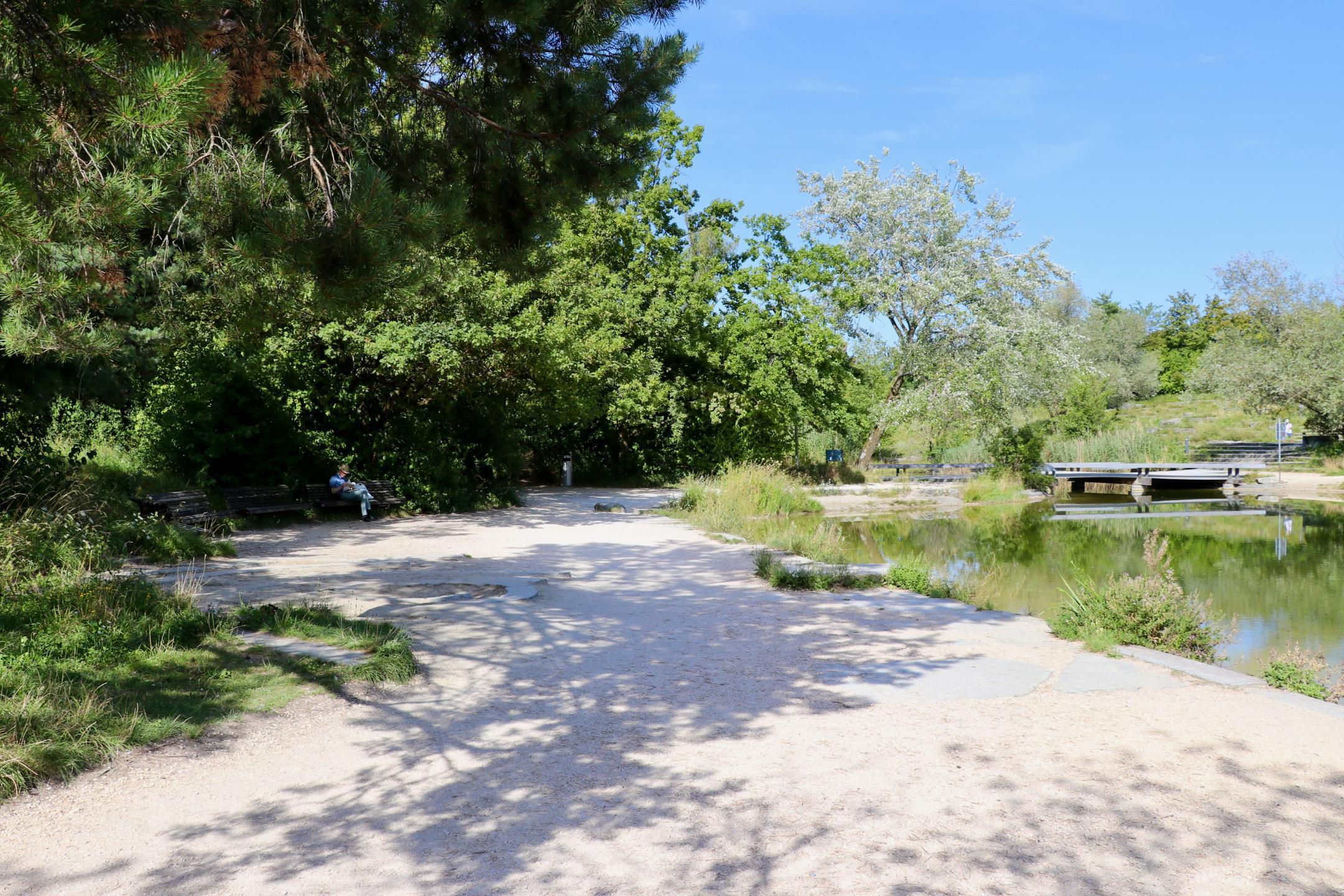 Bänke im Schatten von Bäumen in der Nähe von Wasser laden im Irchelpark zum Entspannen ein.