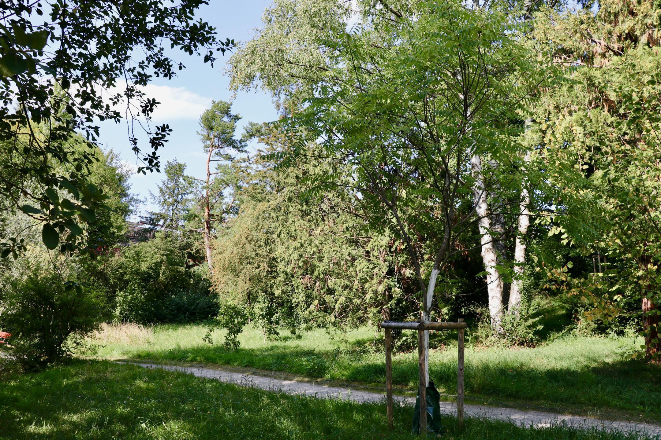 Der Jonas Furrer Park in Zürich ist ersichtlich, welcher naturnah gestaltet ist und durch Kieswege begehbar ist.