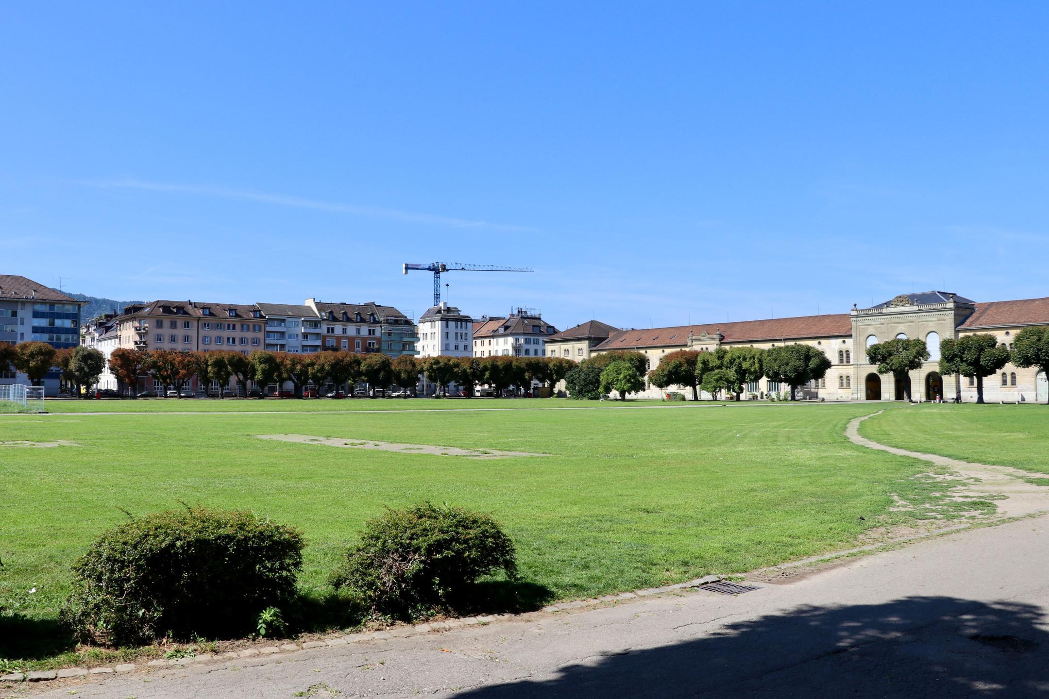 Riesige Rasenfläche des Kasernenareals in Zürich, welche mit Bäumen umgeben ist.