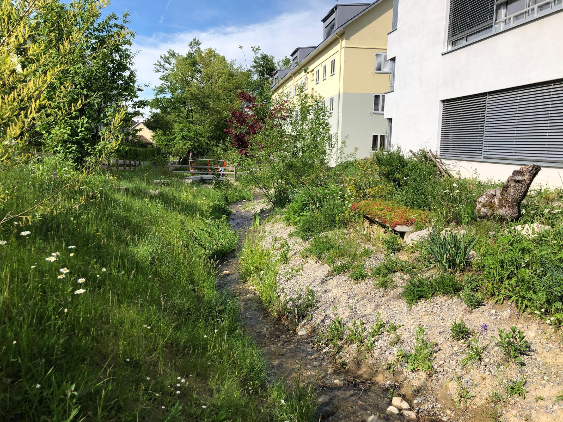 Naturnah gestalteter Bereich mit einem kleinen Bach an der Langgrüttstrasse in Zürich