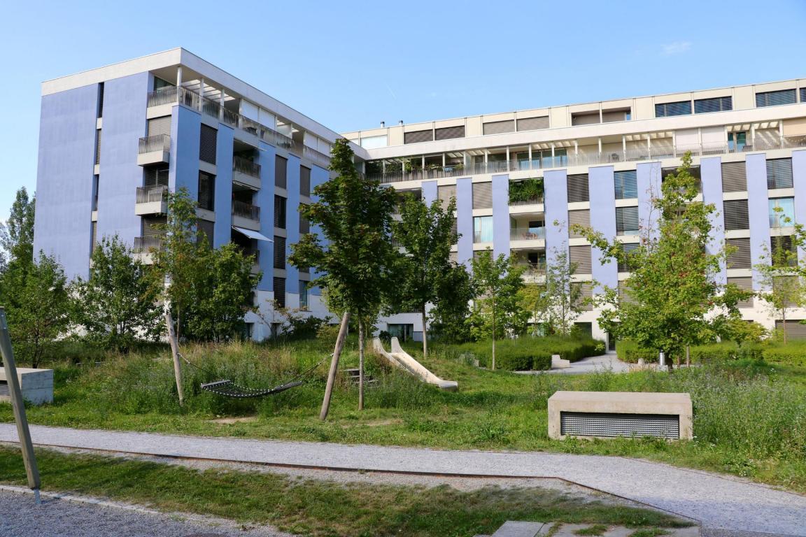 Auf dem Bild ist eine Siedlung an der Mühlackerstrasse in Zürich zu sehen, wo unterschiedliche Pflanzen, Bäume und Kieswege vorzufinden sind. Dadurch wird der Vorhof des Gebäudes attraktiv.
