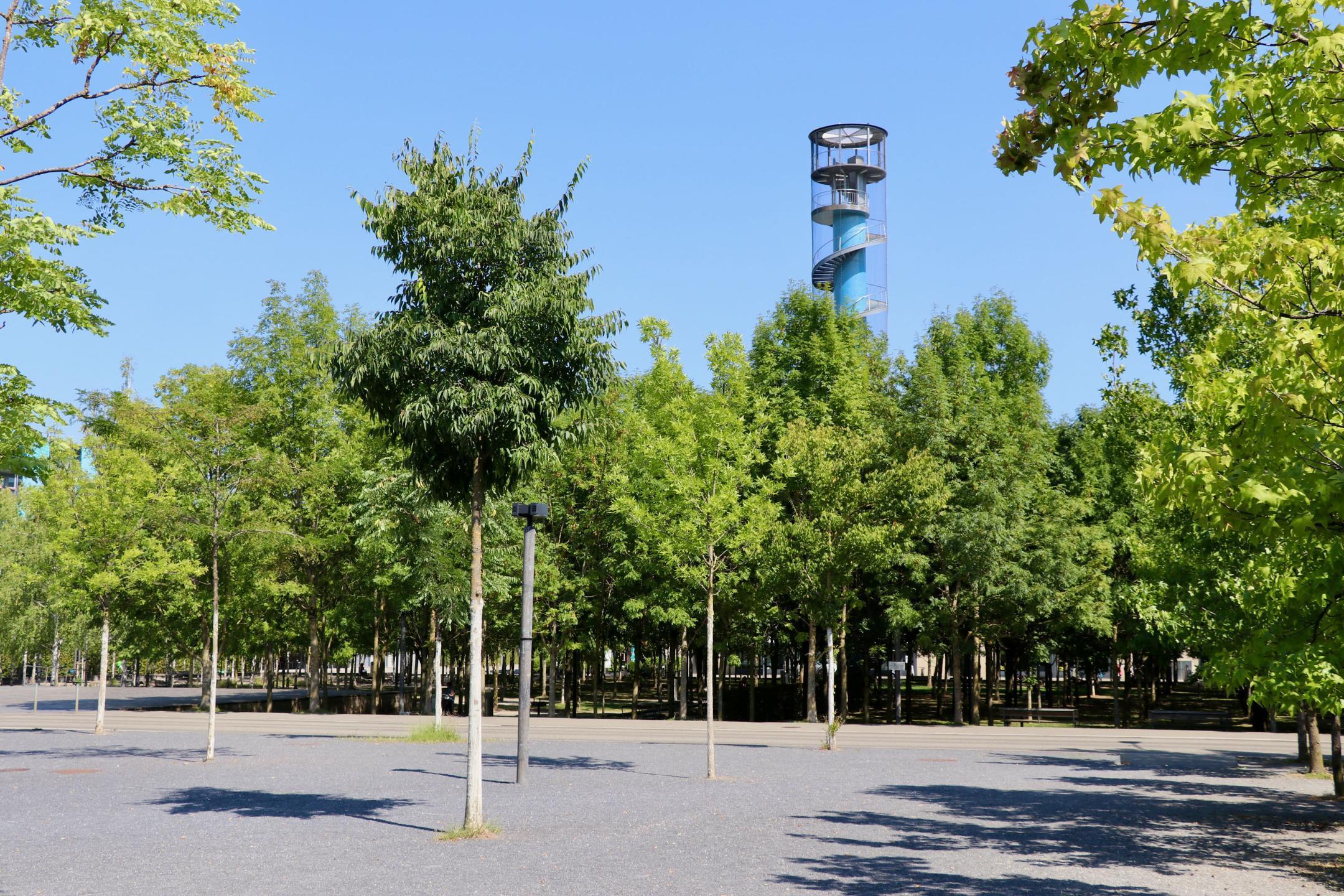 Unzählige Bäume im Oerliker Park, welche eine grosse Fläche beschatten.