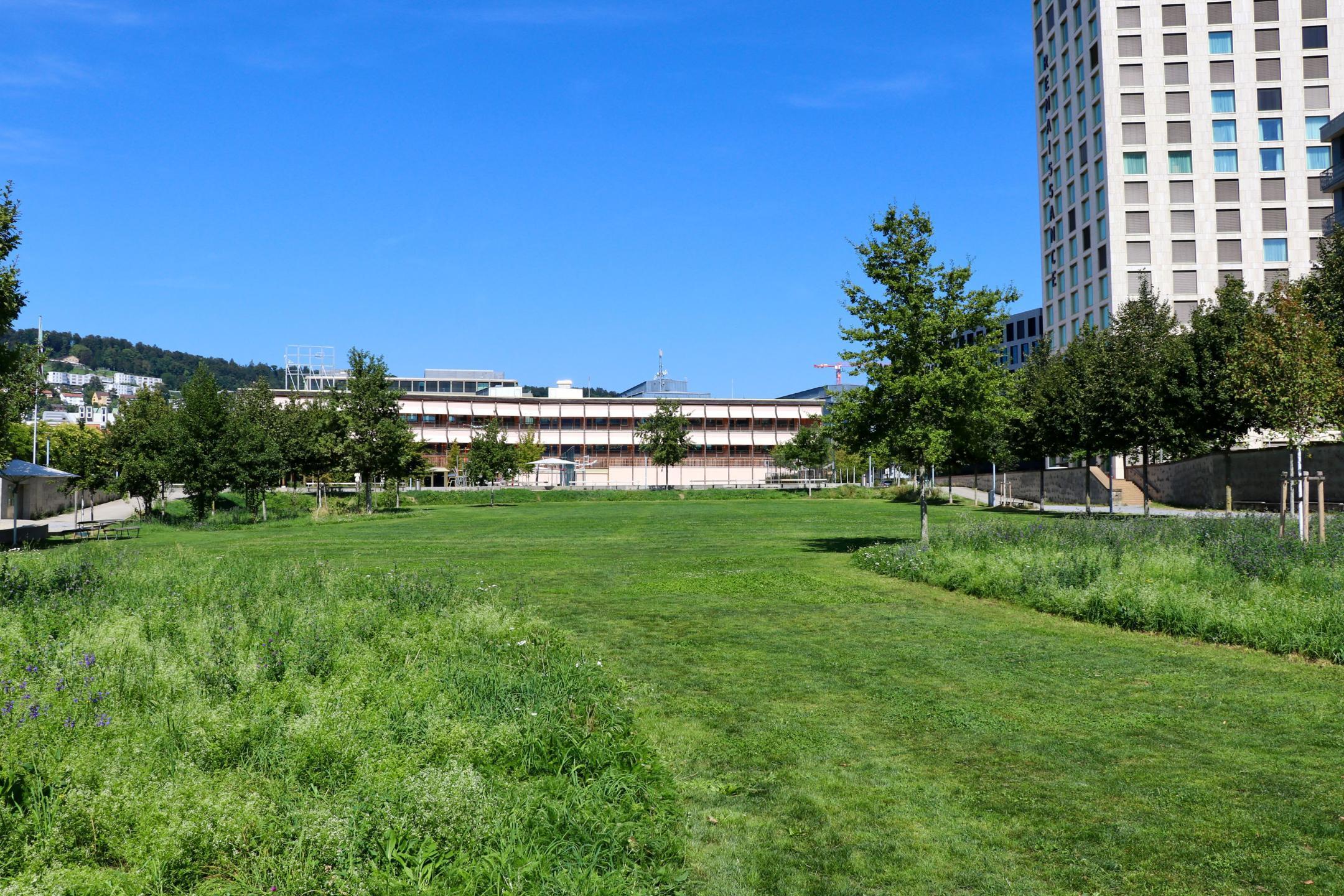 Pfingstweidpark in Zürich mit Rasenflächen, Blumenwiesen und Bäumen.
