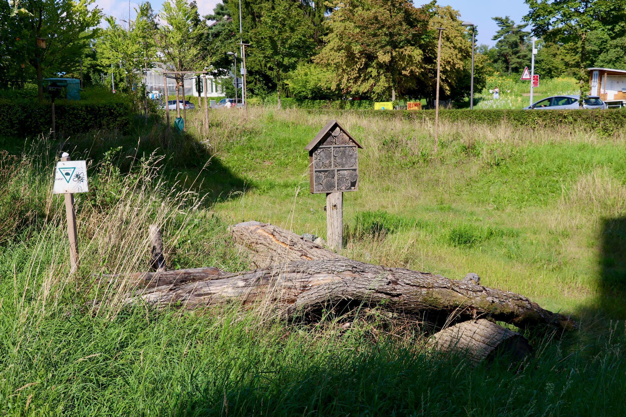 Naturwiese mit Hölzern und einen Bienenwohnhaus bei der Siedlung Ruggächern in Zürich
