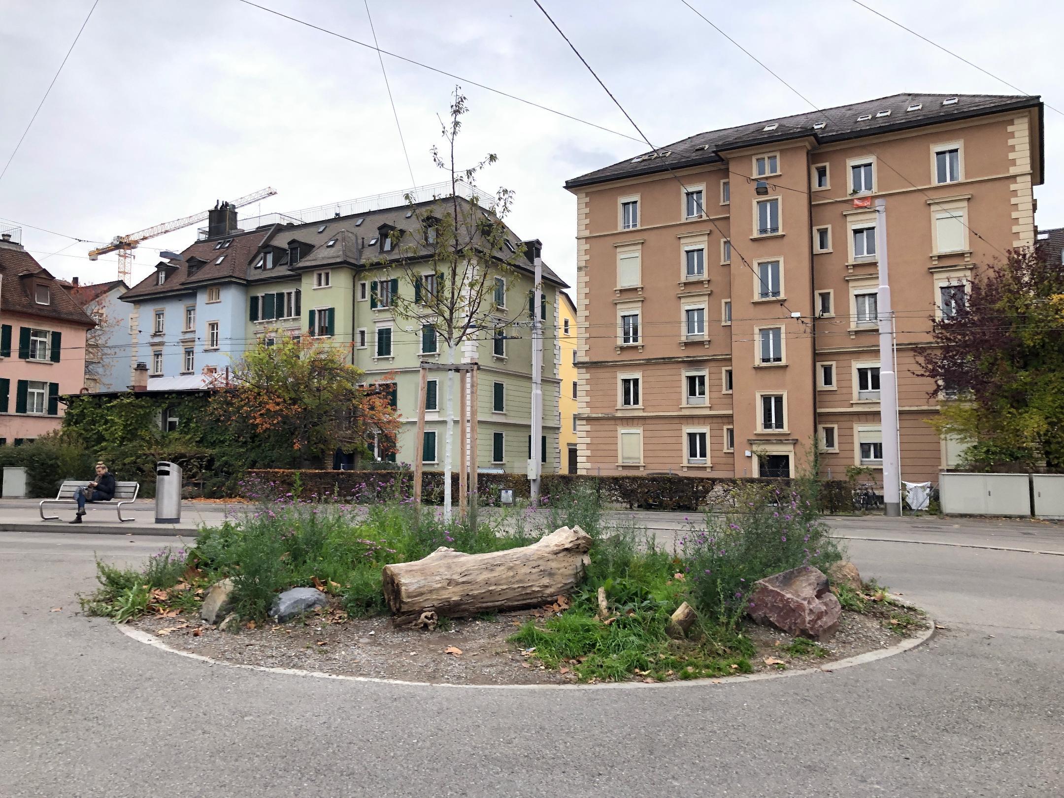 Vielseitig naturnah gestaltete Traminsel beim Bahnhof Wiedikon mit Steinen und Hölzern fördert die Artenvielfalt von Kleintieren.