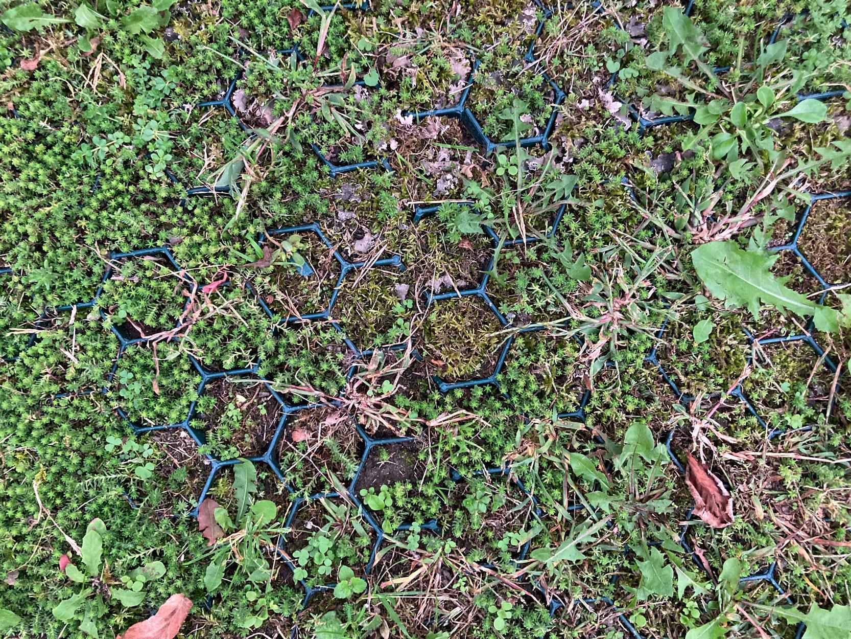 Auf dem Bild ist Kunststoffgitterrasen in Kilchberg ersichtlich. Dieses erlaubt eine höhere Belastung als herkömmlicher Rasen.