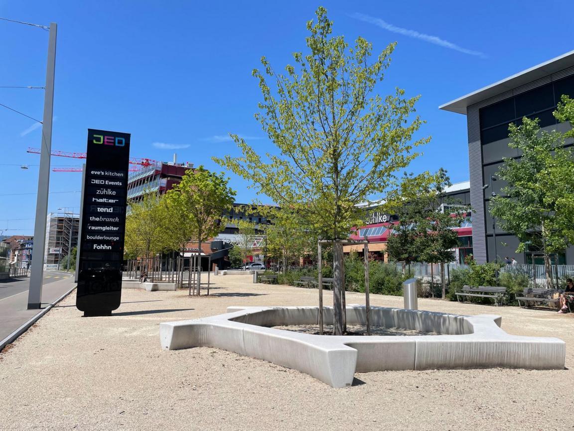 Auf dem Bild sieht man neben der Zürcherstrasse in Schlieren eine entsiegelte Fläche aus hellem Kies und Bäumen. Diese Fläche verringert den Oberflächenabfluss und entlastet somit die Kanalisation.