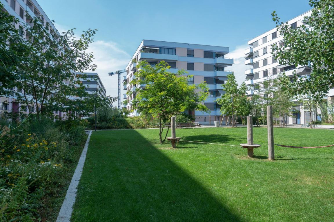 Auf dem Bild sieht man Grünflächen zwischen Gebäuden auf dem Richti-Areal in Wallisellen. Das Regenwasser kann auf diesen Flächen versickern.
