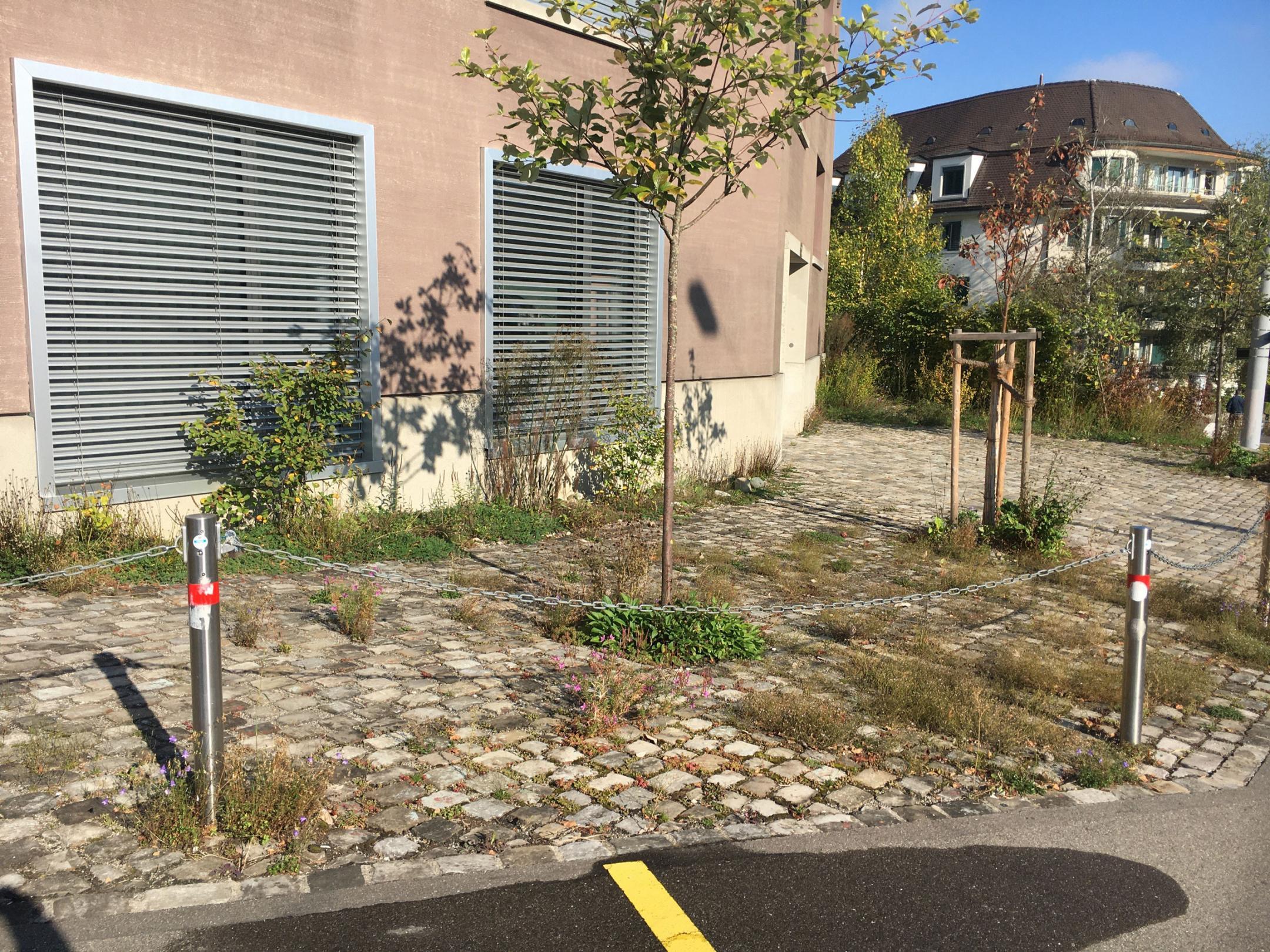 Auf dem Bild ist der Vorbereich eines Gebäudes an der Albisstrasse in Zürich sichtbar. Dieser Vorbereich besteht aus Pflastersteinen, wo Gräser in den Fugen wachsen können. Regenwasser kann in diese Fugen versickern.