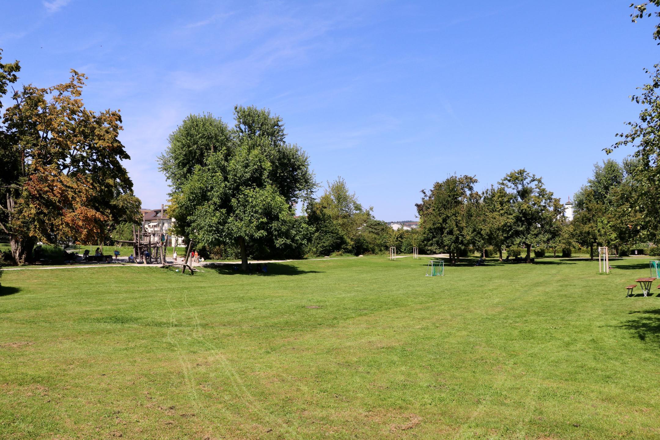 Der Bachwiesenpark in Zürich ist geprägt von Bäumen und grossen Rasenflächen.