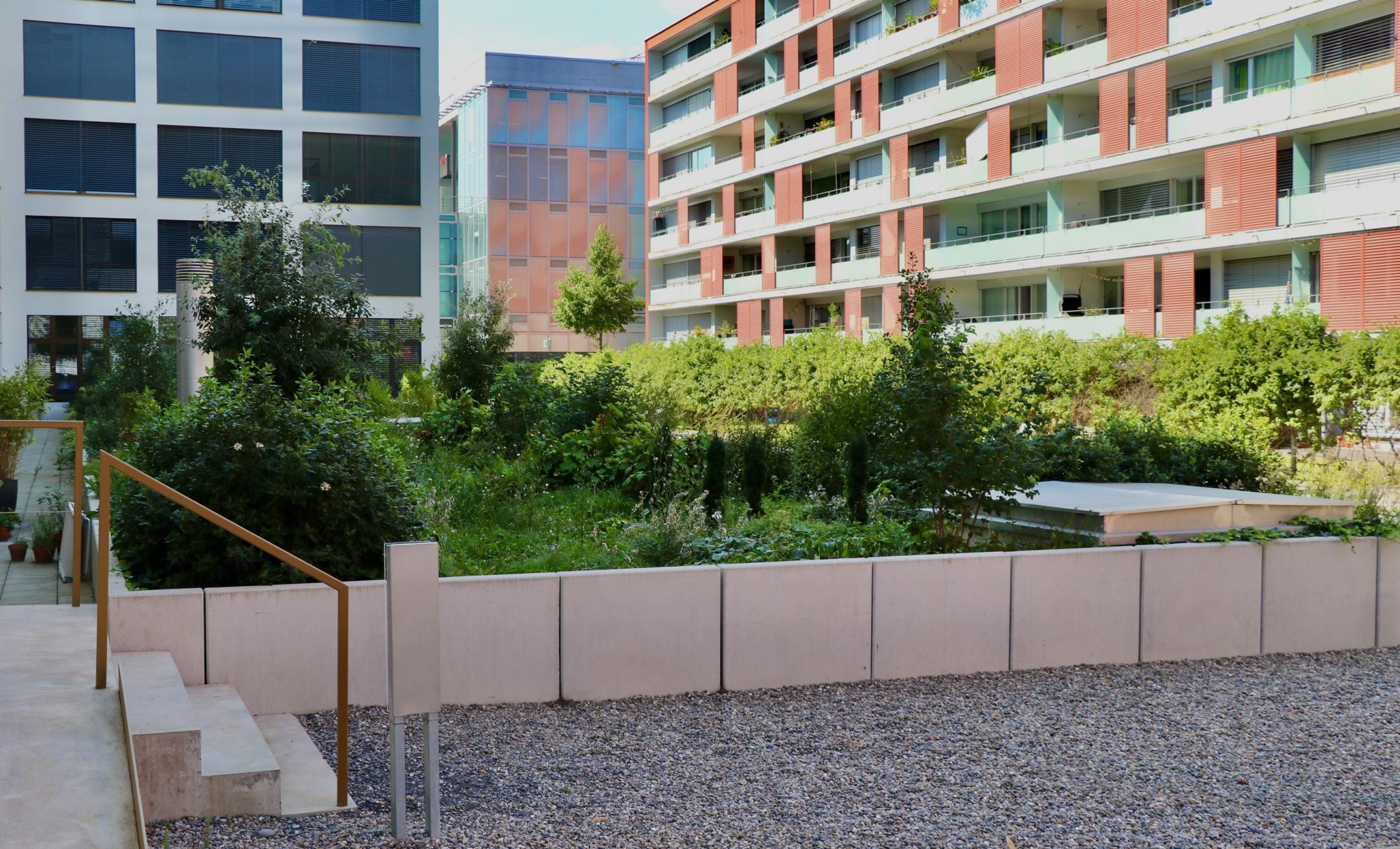 Im Innenhof einer Siedlung beim Lamprechtweg in Zürich gibt es unversiegelte Flächen, welche hauptsächlich stark begrünt sind oder aus hellem Kies bestehen.