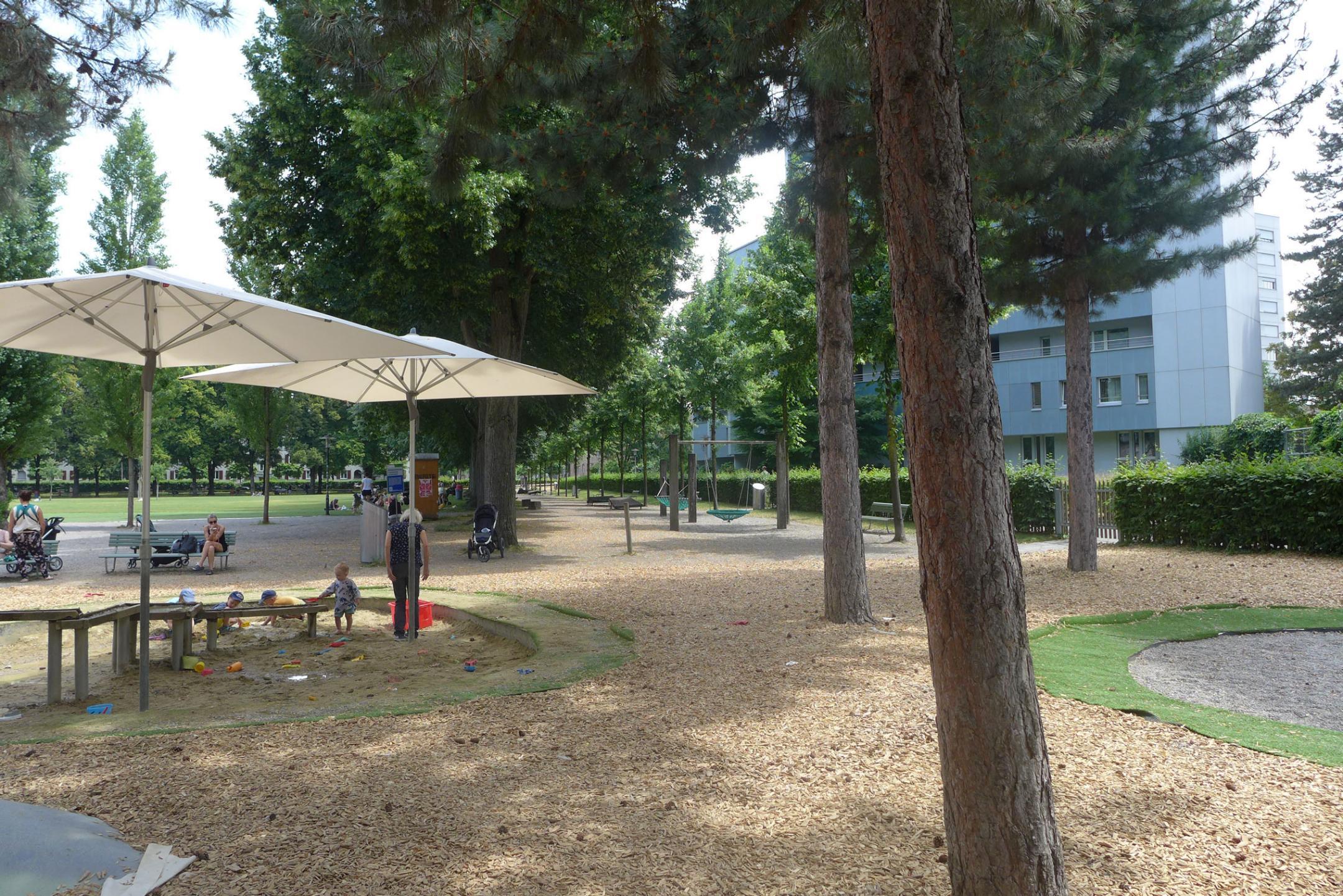 Das Bild stammt von der Josefwiese in Zürich. Unter den Bäumen ist die Fläche geprägt durch Holzschnitzel.