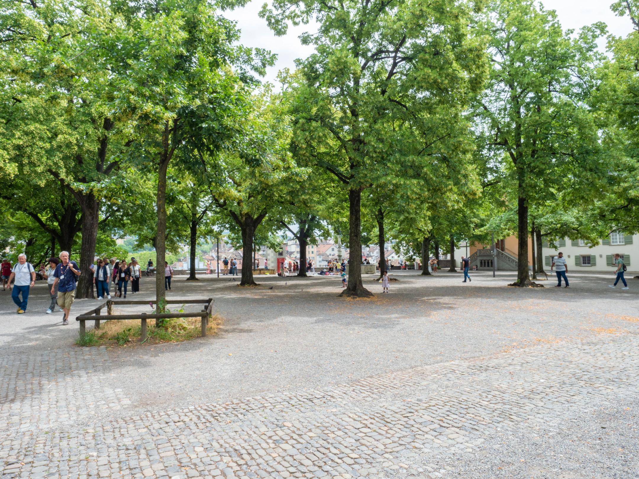 Das Bild zeigt den Lindenhof in Zürich mit grossen Bäumen und entsiegelten Flächen. Diese Fläche bestehen entweder aus Pflastersteinen oder hellem Kies.