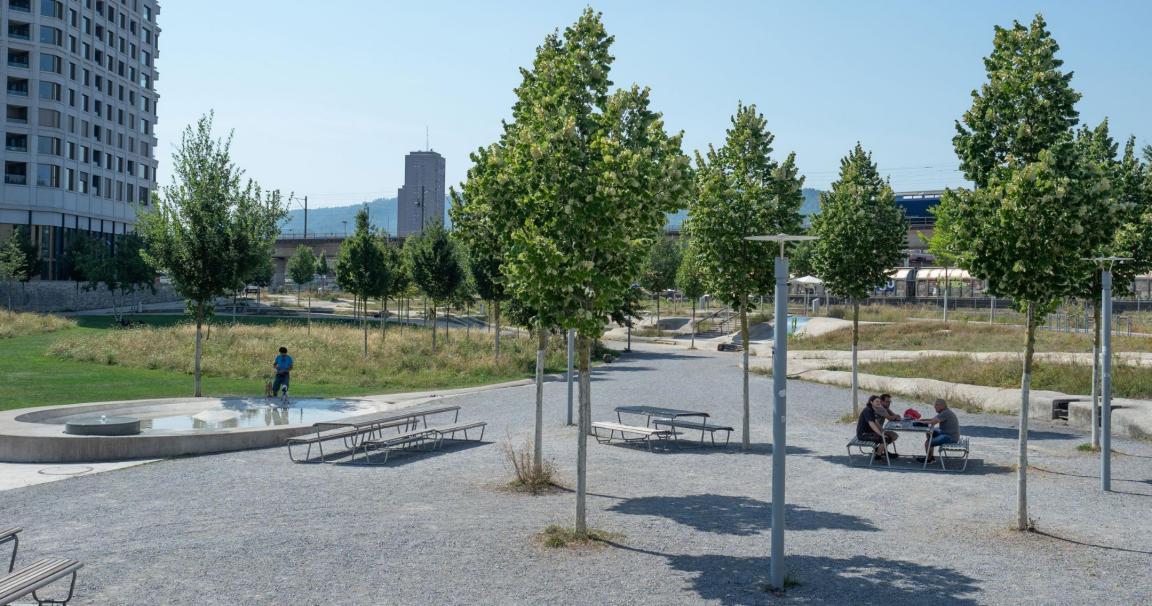 Auf dem Bild ist der Pfingstweidpark in Zürich zu sehen, welcher aus Rasenflächen, Kiesflächen, Wasserflächen und Bäumen besteht. Das lädt zum Verweilen ein.