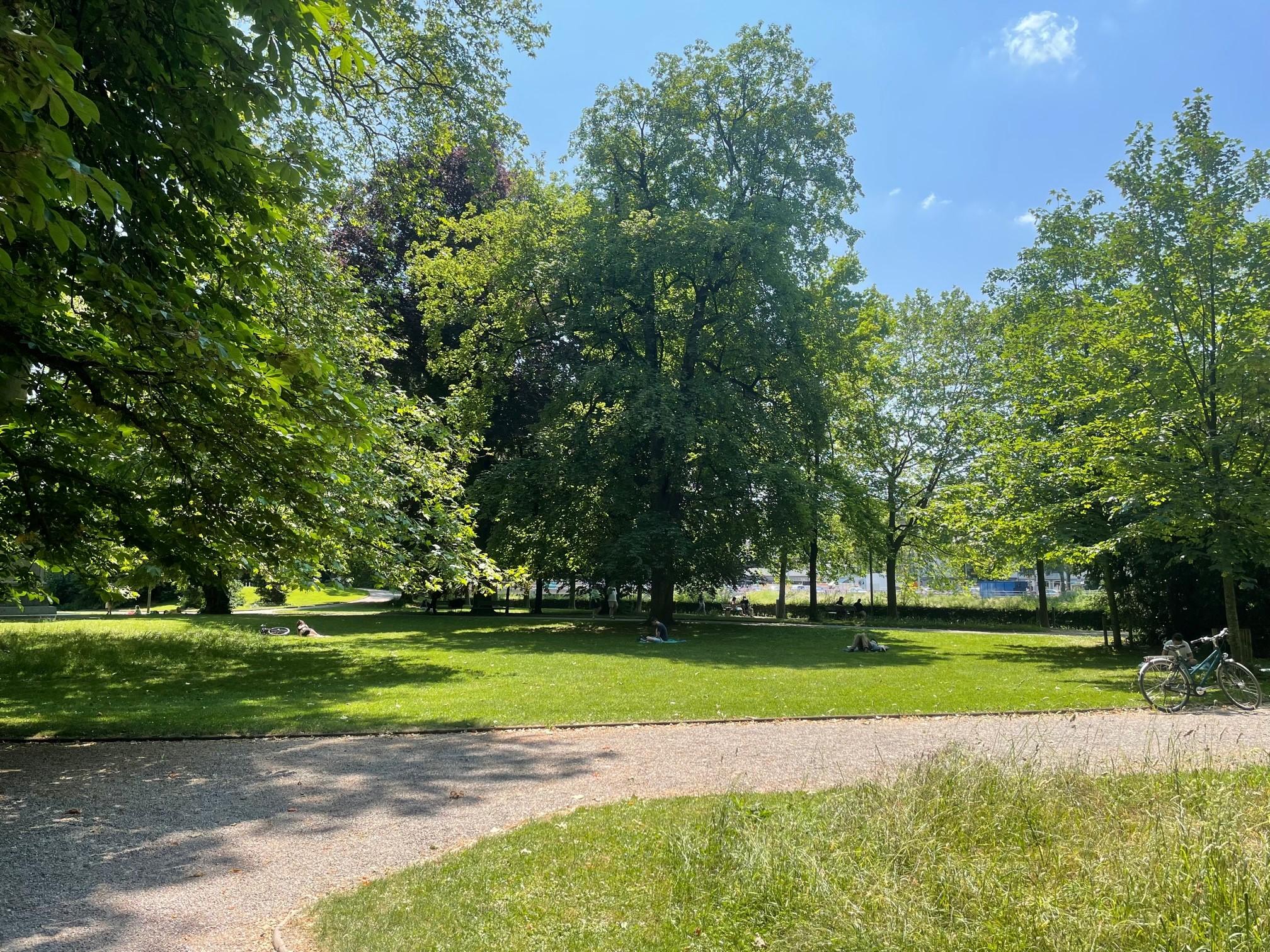 Sichtbar ist ein der Platzspitz Park mit Rasenflächen, Bäumen und einem Weg aus hellem Kies, welcher eine temporäre Befahrbarkeit gewährleistet.
