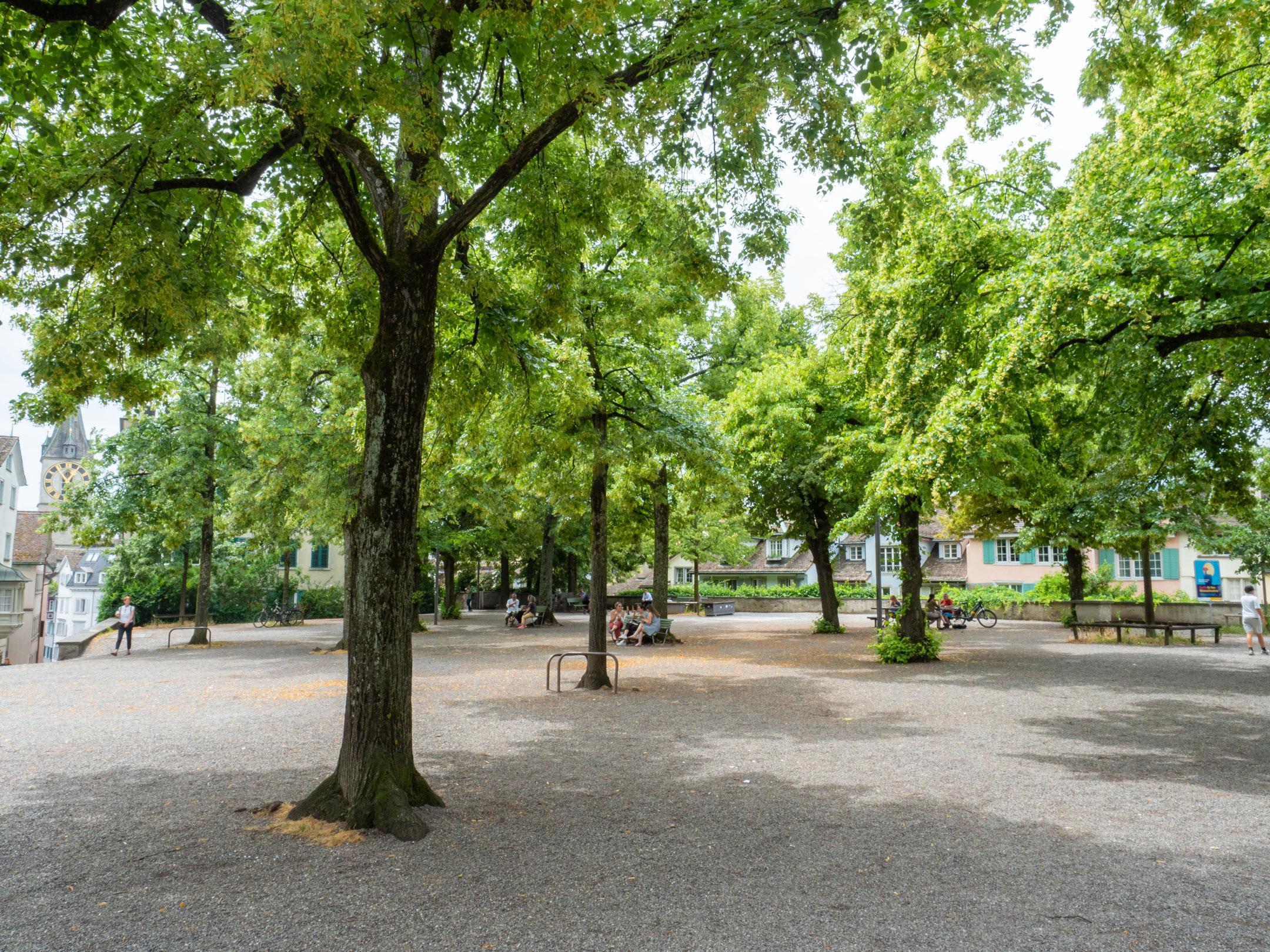 Das Foto zeigt den Lindenhof in Zürich an einem heissen Sommermittag. Die Leute sitzen im Schatten der grossen Bäume und essen ihr Sandwich.