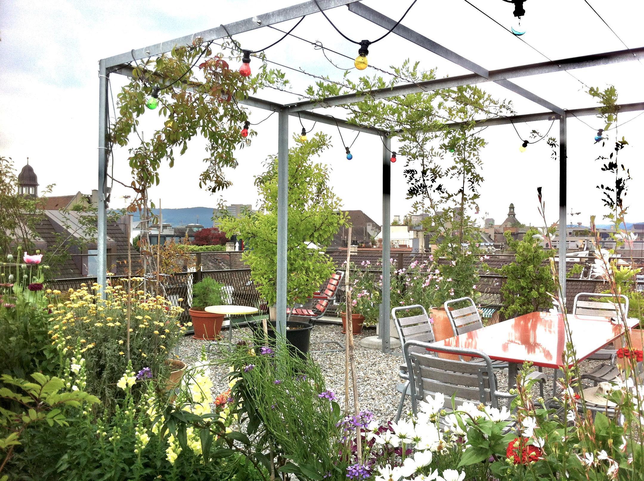 Das Foto zeigt eine farbenfrohe und begrünte Dachterrasse. An einer Metallpergola wachsen Kletterpflanzen, darunter steht ein Tisch und Stühle. Der Boden ist mit Kies bedeckt. Gemüse und Pflanzen wachsen in Töpfen und Hochbeeten. Eine farbige Lichterkette ziert die Pergola. 