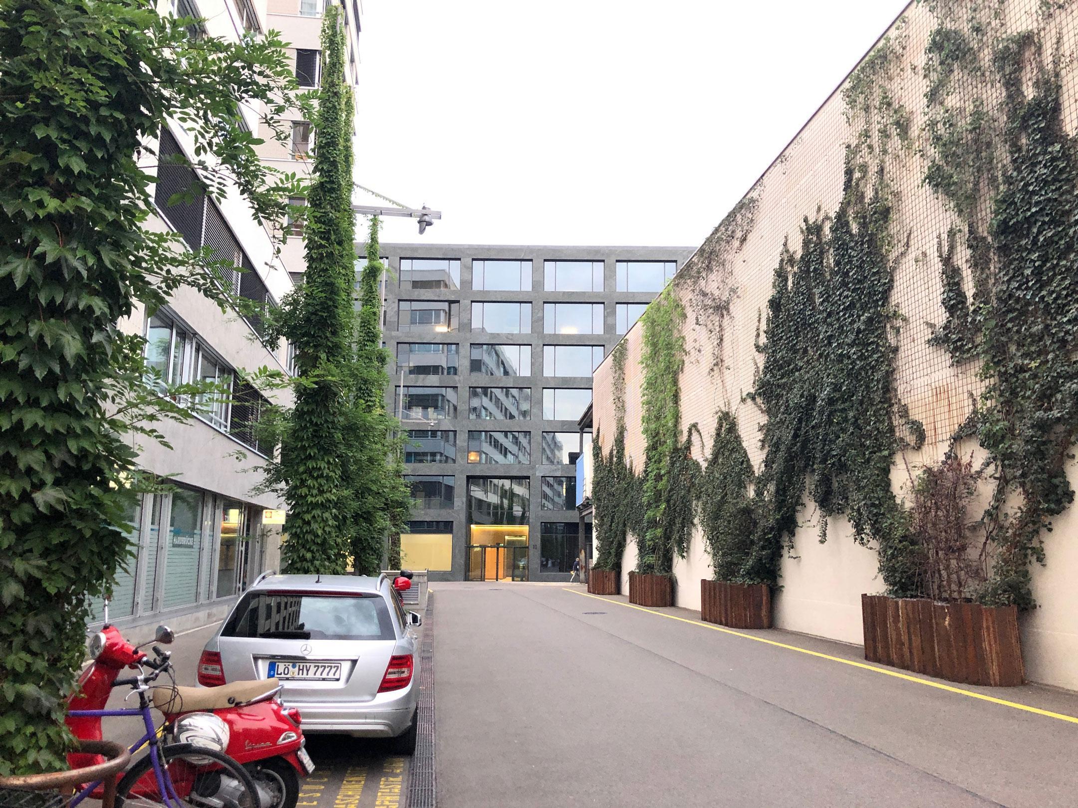 Das Foto zeigt eine grosse weiss bemalte Fassade des Maagareals. Aus vier grossen am Boden stehenden Pflanzentrögen wachsen Kletterpflanzen, welche bereits einen grossen Teil der Fassade begrünen. 