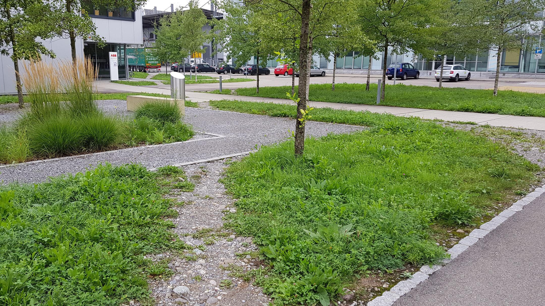 Foto des Strassenraums zwischen verschiedenen ABB -Gebäuden. Die Gehwege sind nicht versiegelt und die Zwischenräume sind begrünt und mit Bäumen bepflanzt.