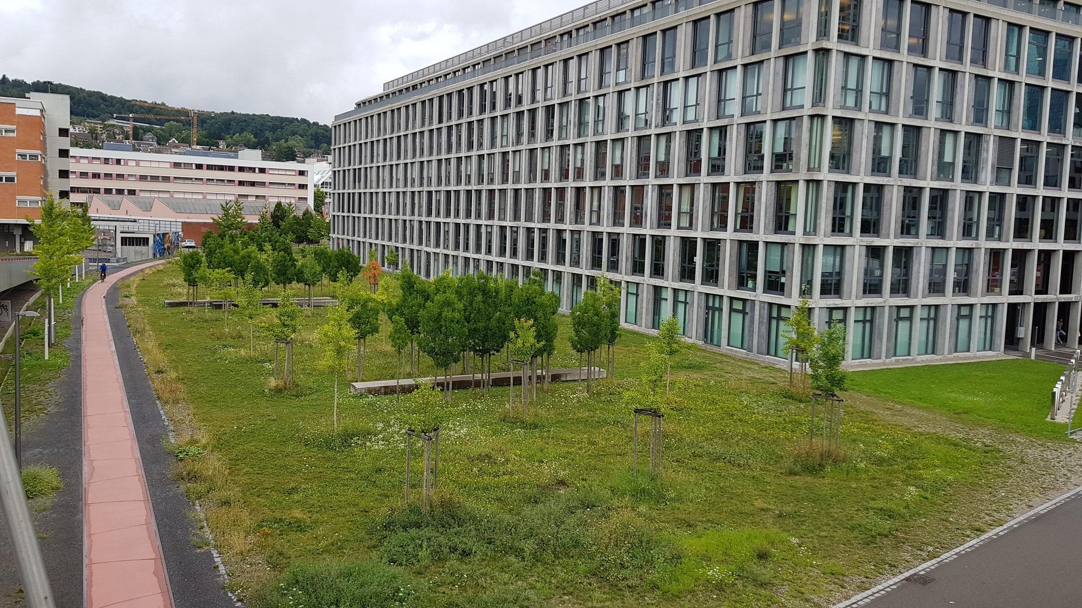 Foto zeigt die Seitenansicht des Technoparks. Vor der Fassade hat es eine grüne Wiese mit gepflanzten Bäumen und Sitzbänken.