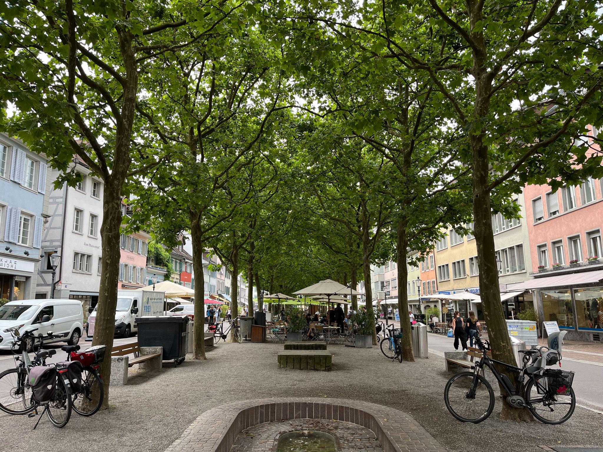 Das Foto zeigt eine zwei reihige Baumallee in der Mitte einer Fussgängerzone in der Innenstadt.  Unter den Bäumen hat es ein Strassencafé und verschiedene Sitzgelegenheiten. Der Boden ist mit Kies bedeckt. 