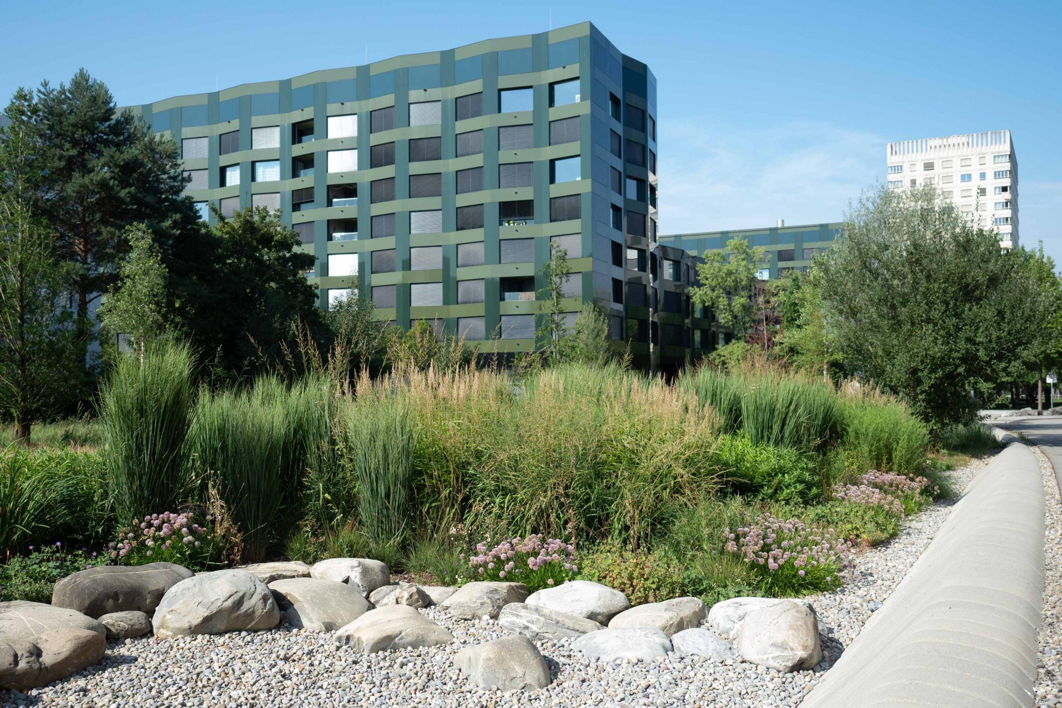 Schlieren, amRietpark: Naturnah gestaltete Geländeunebenheiten eignen sich dazu, nach Niederschlägen Regenwasser zu sammeln und zu versickern.
