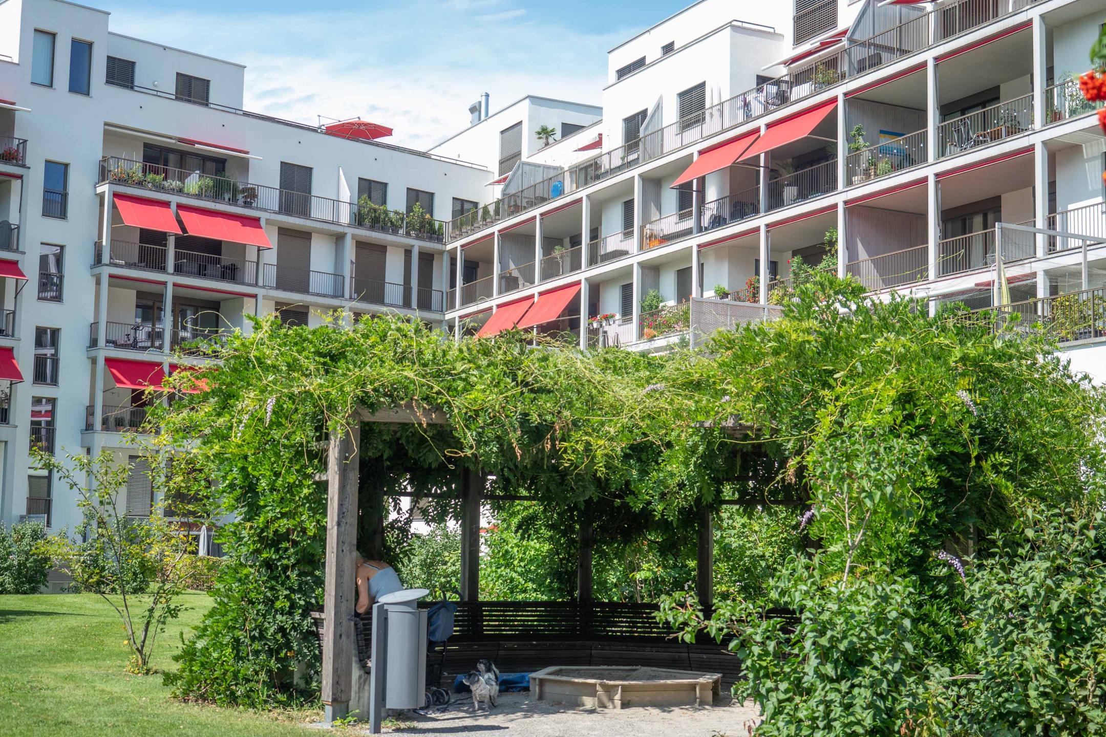 Wallisellen, Richti-Areal: Das Blätterdach einer Laube im Innenhof sorgt für Schatten und Kühle.